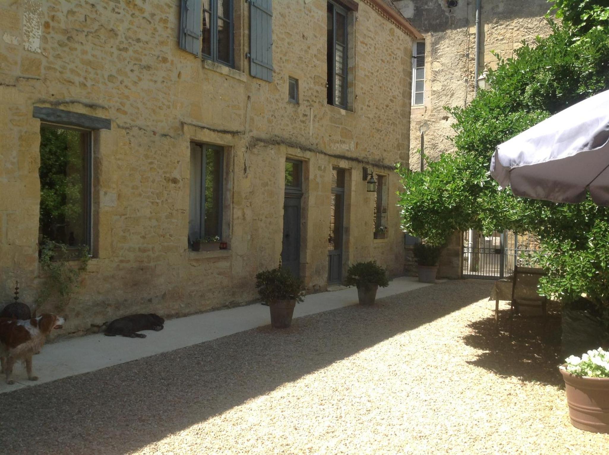 Photo 21