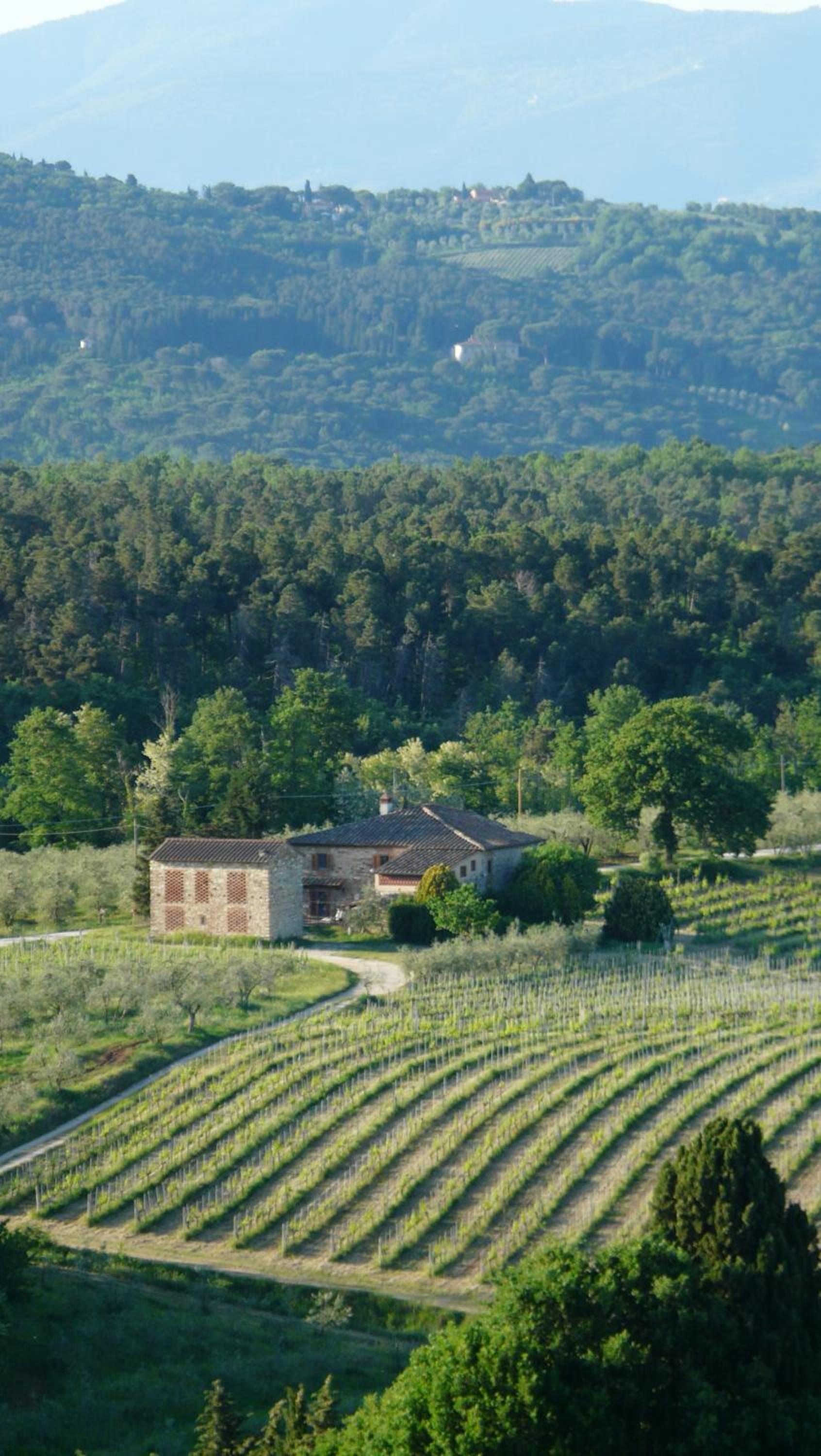 Villa Pian De Noci - Tenuta del Palagio
