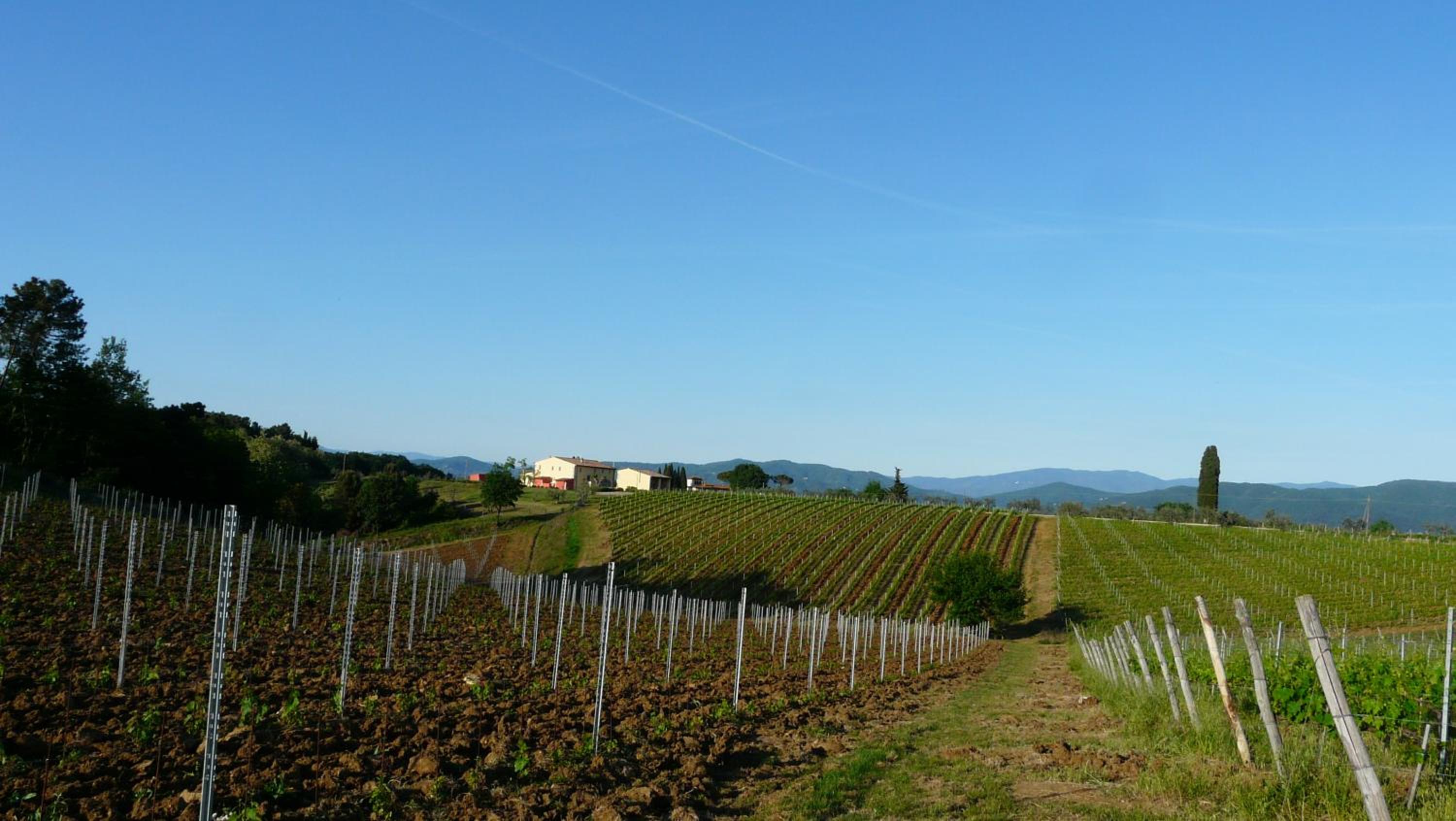 Villa Pian De Noci - Tenuta del Palagio
