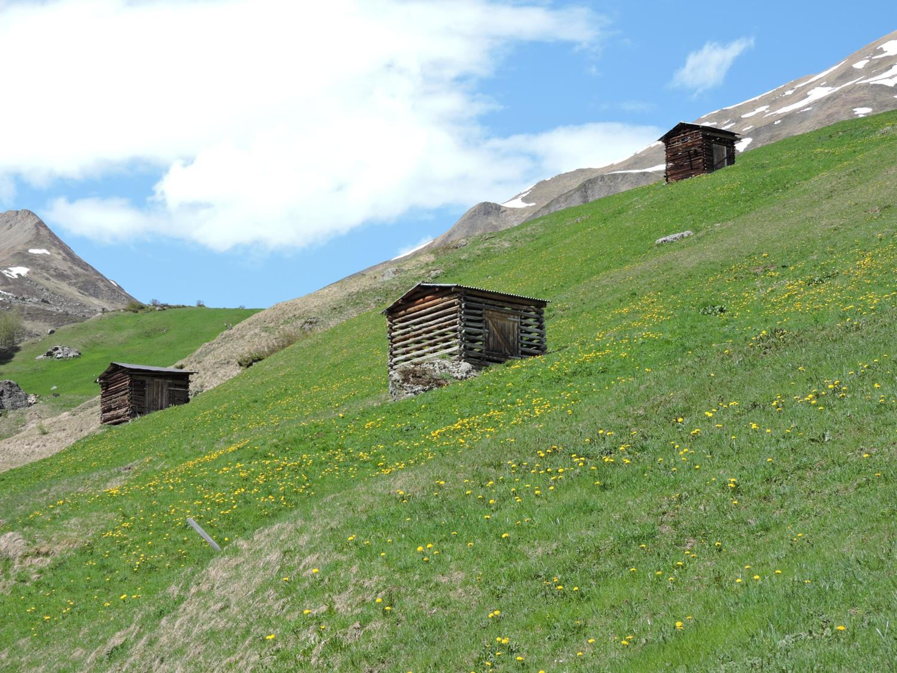 Photo 14