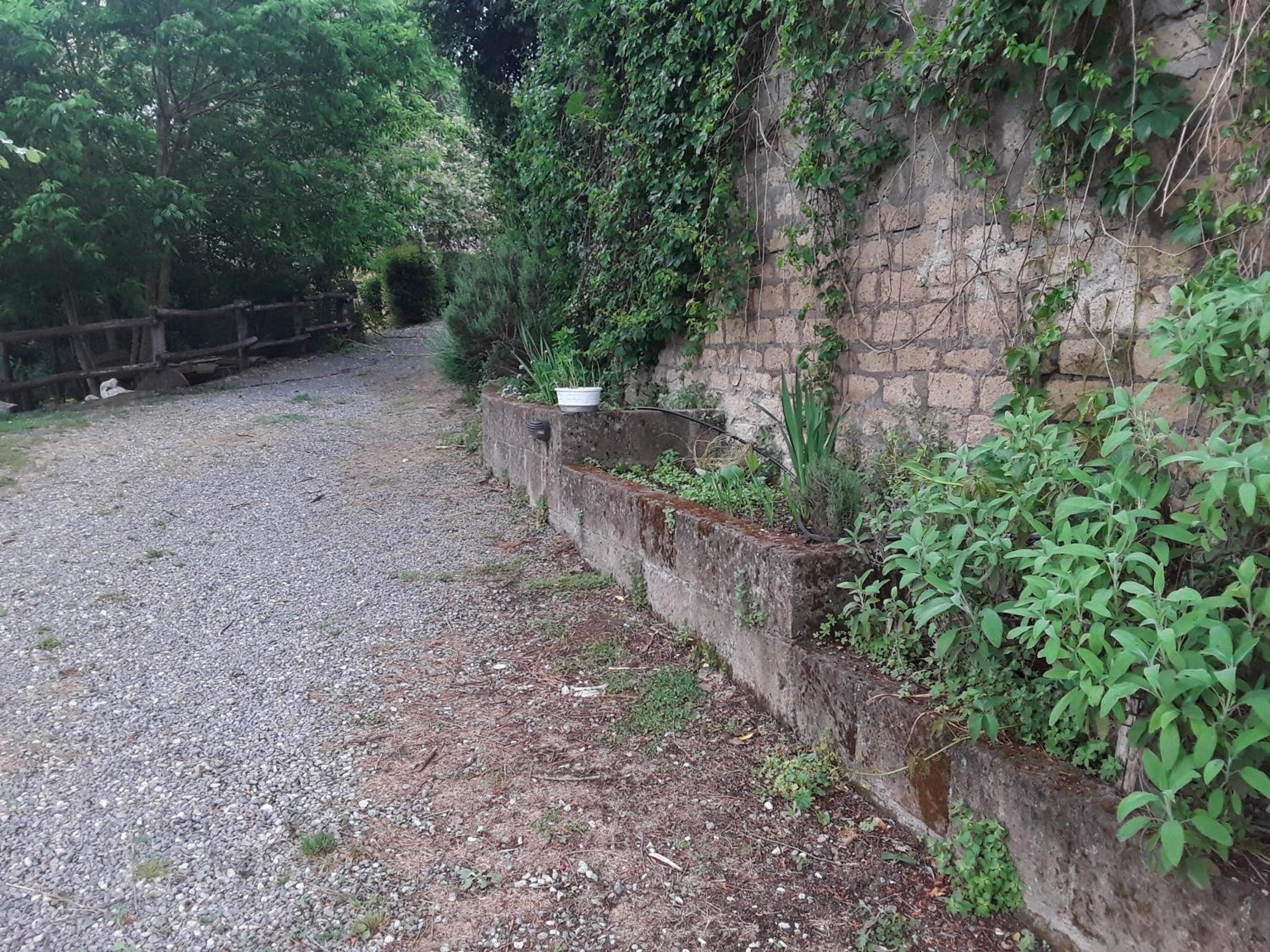 Photo 47