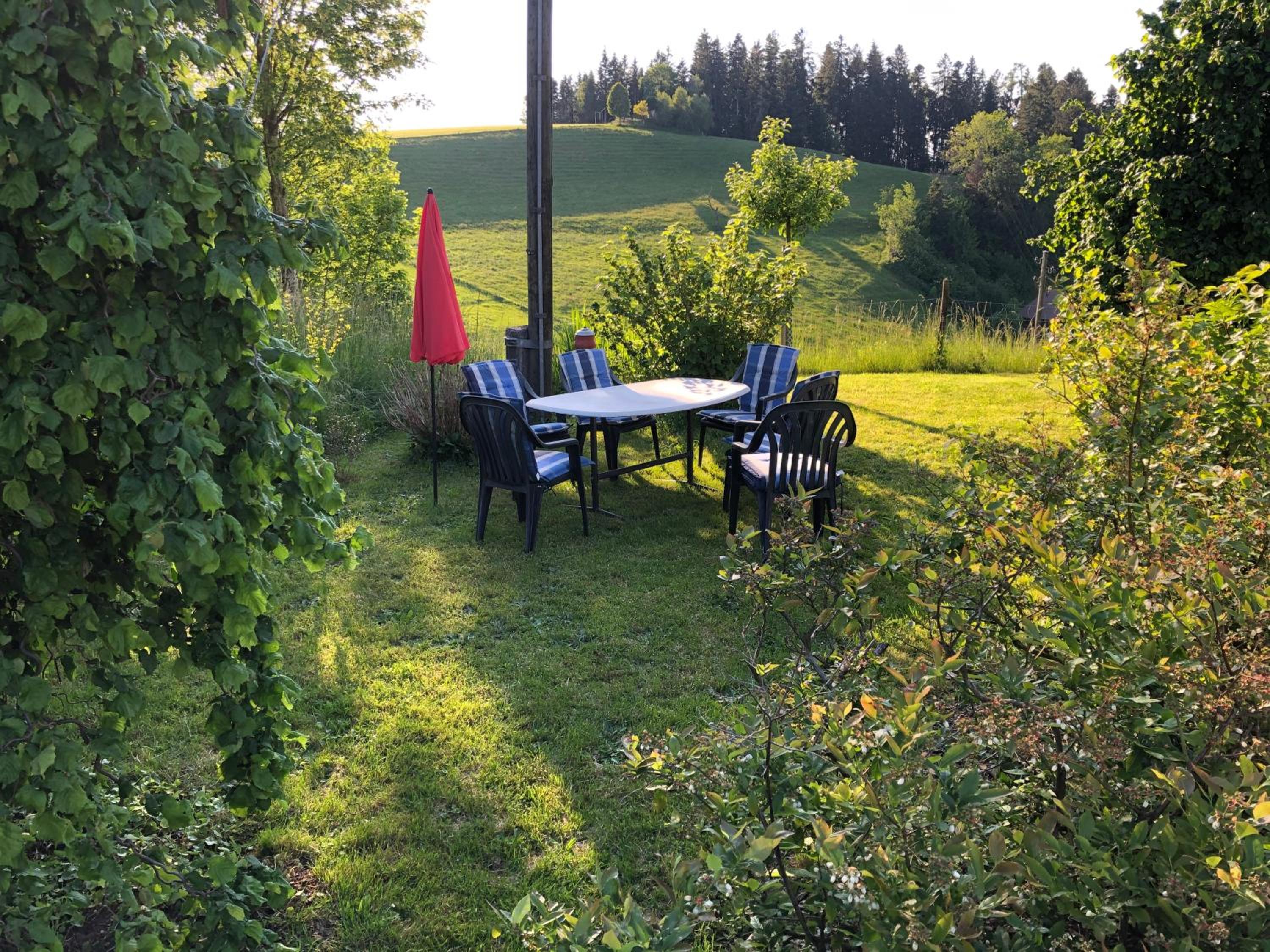 Bühl 3