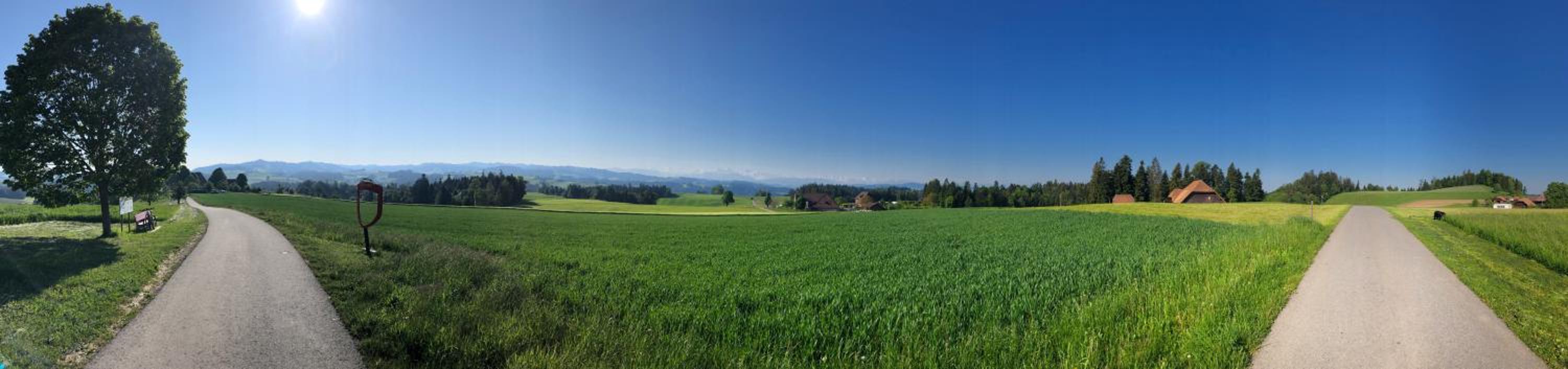 Bühl 3