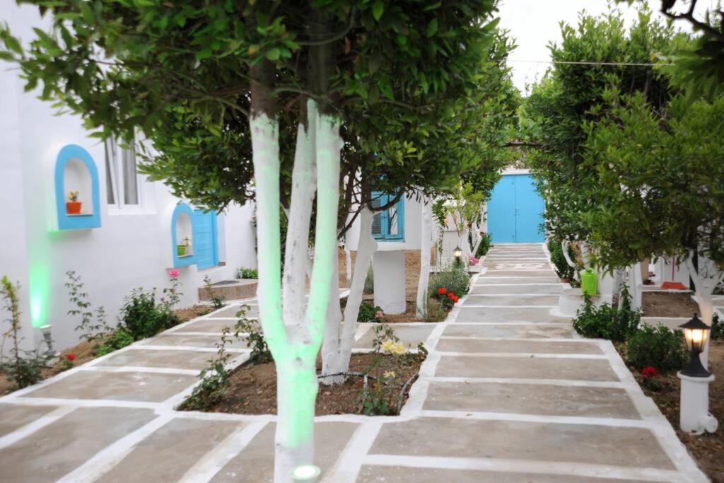 Photo 40