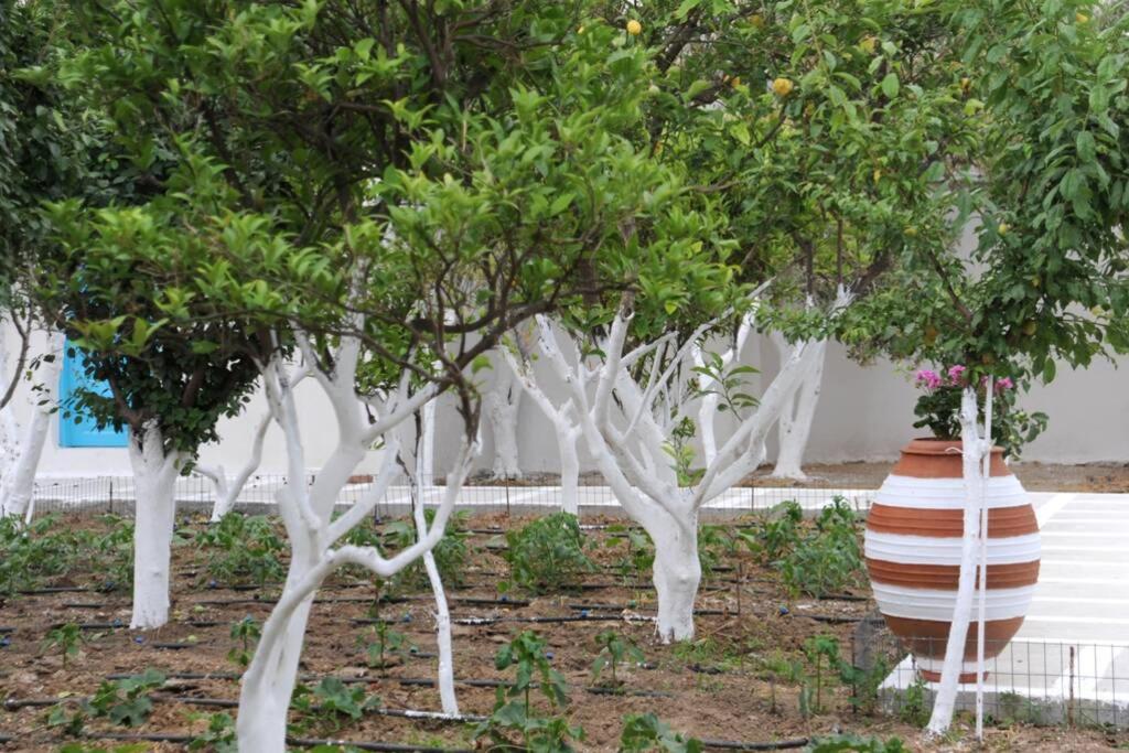Photo 66