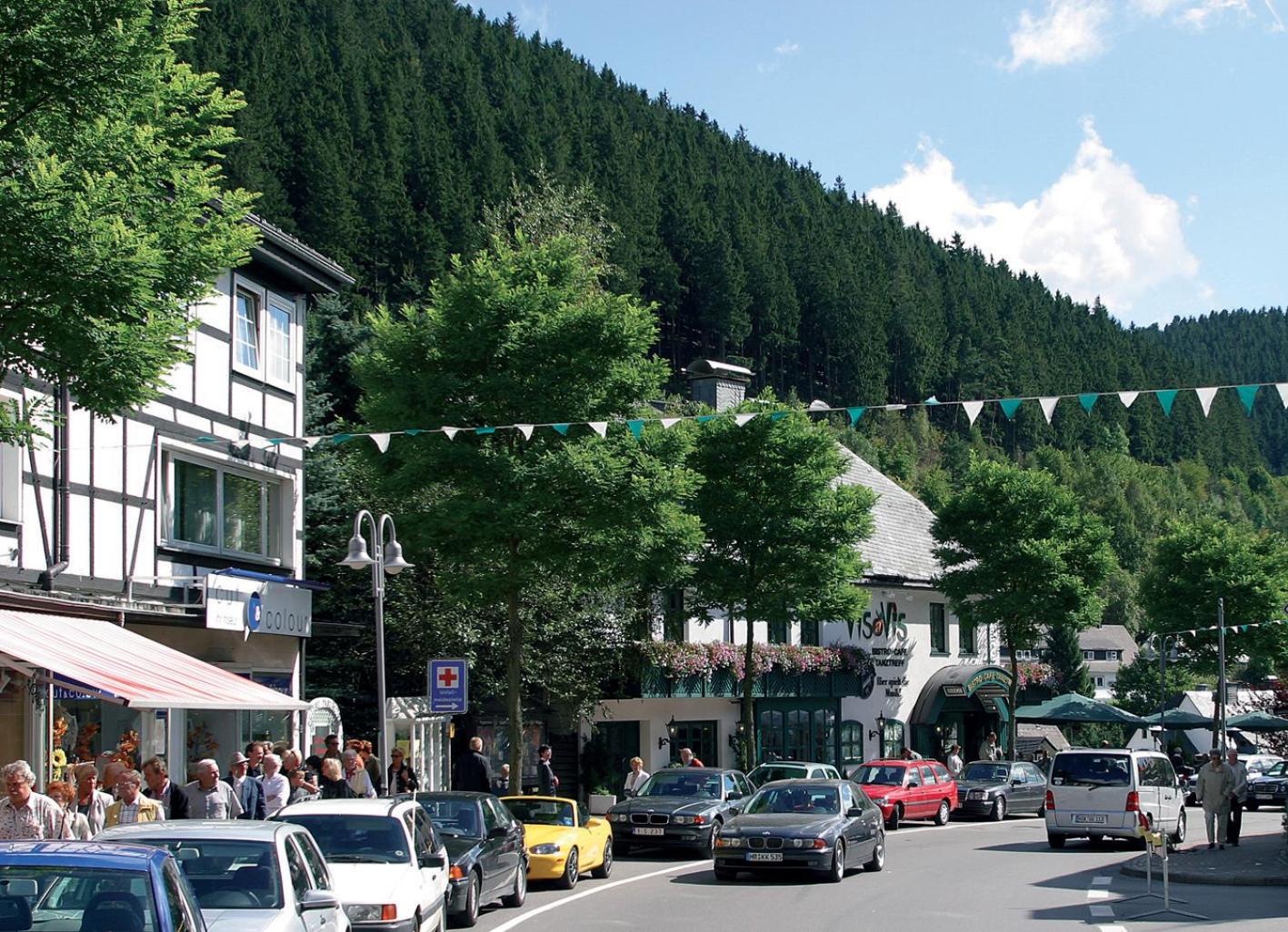 Apartment Central en Willingen