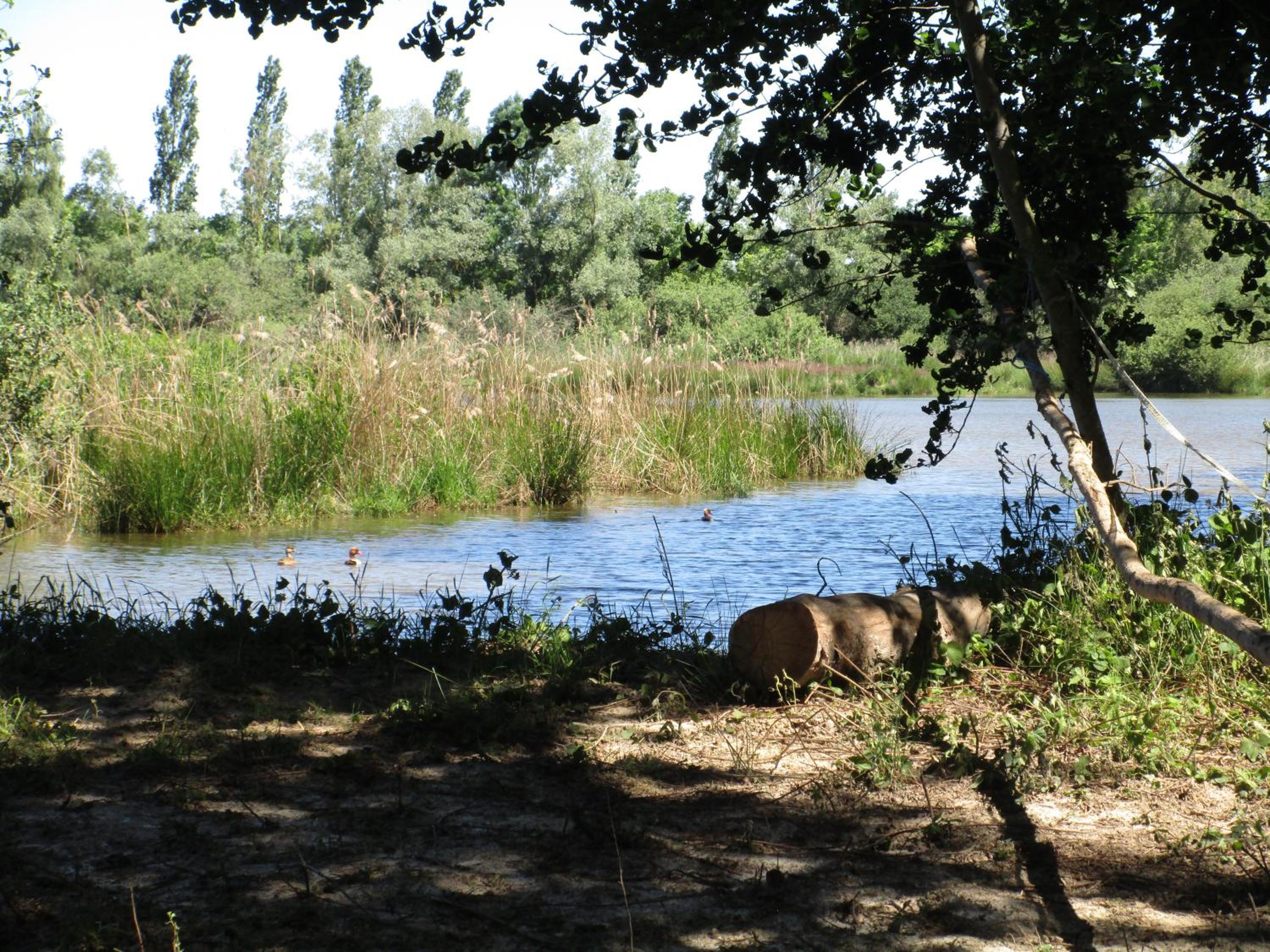 Photo 39