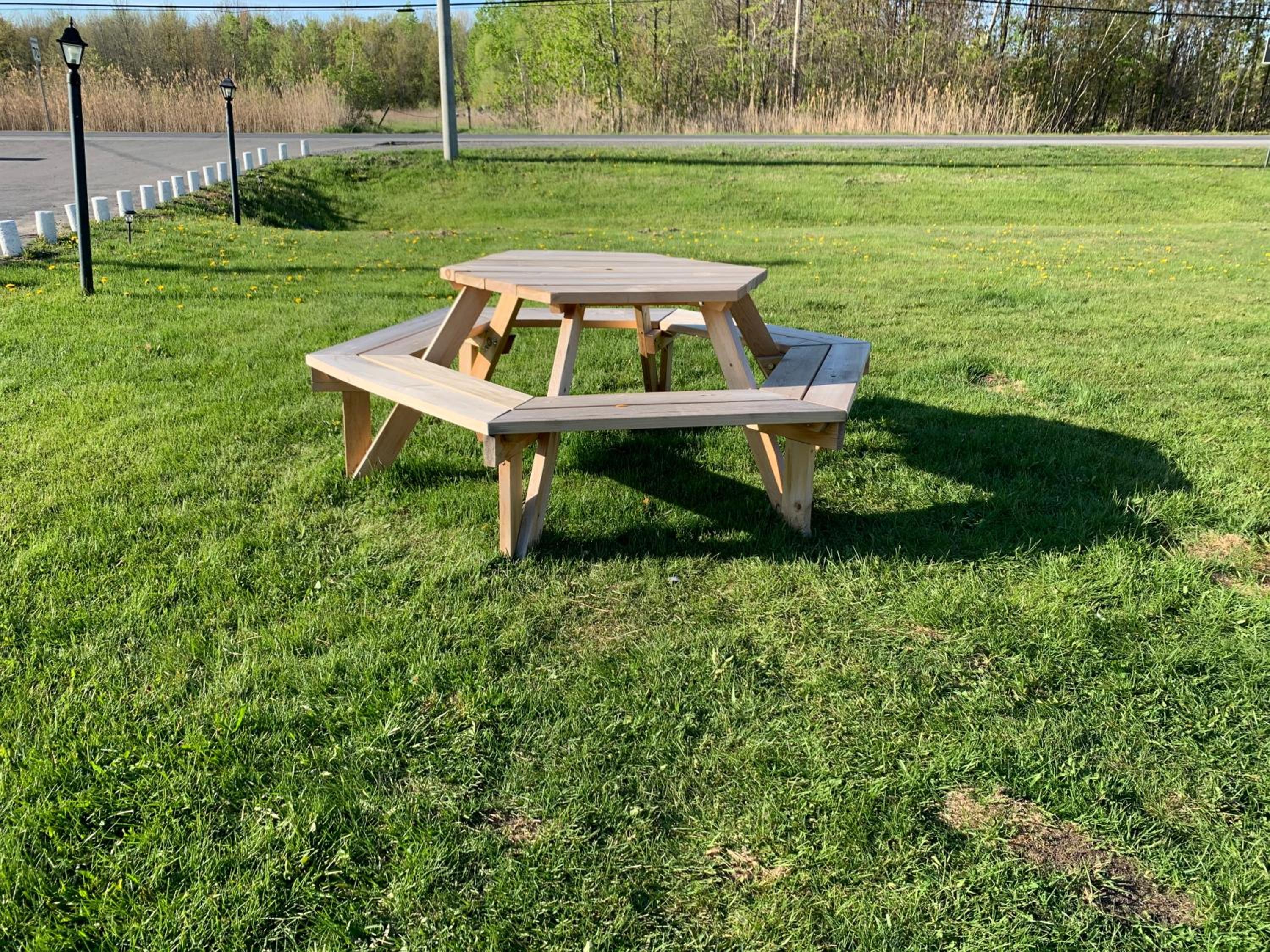 Photo 6