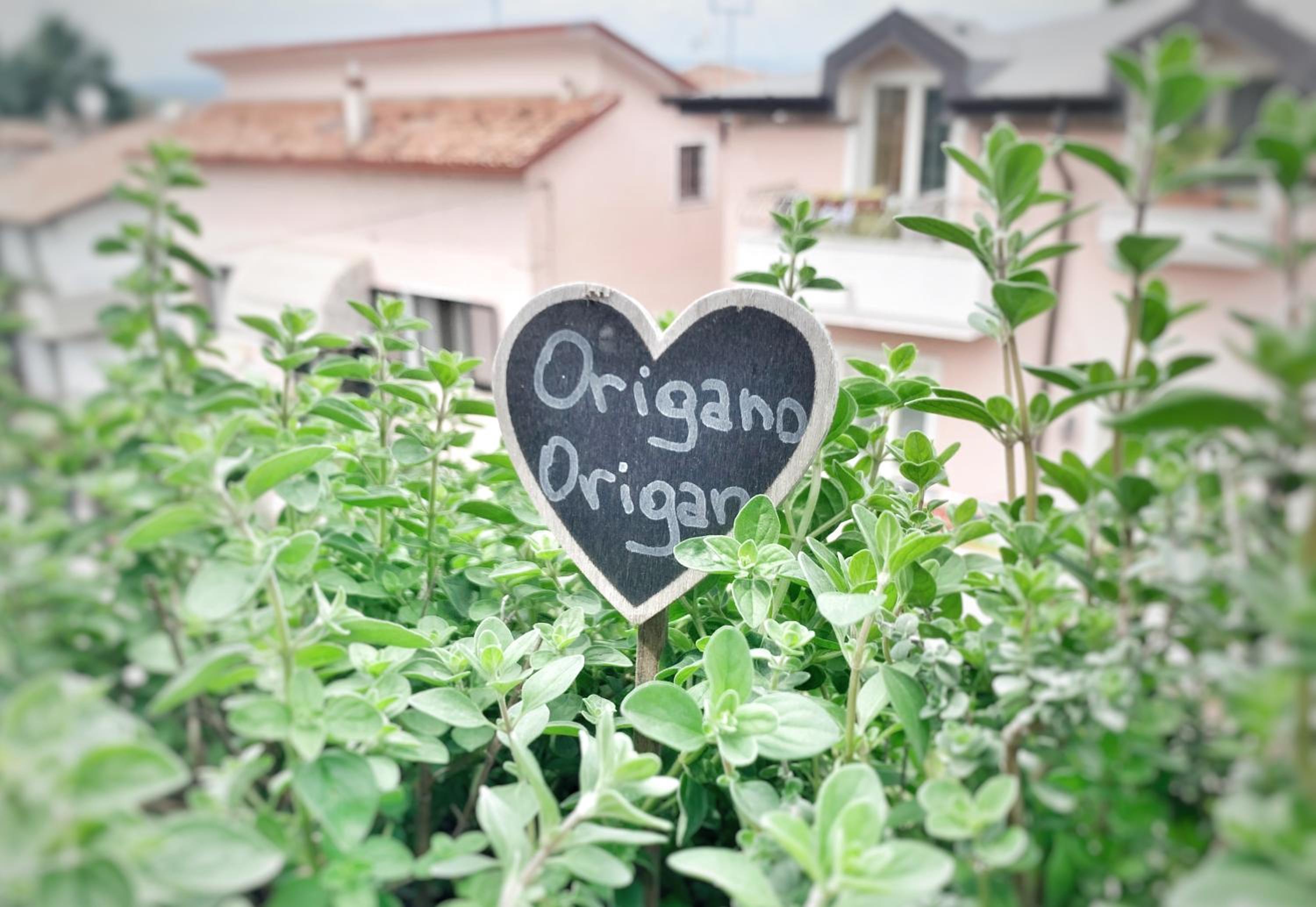 other