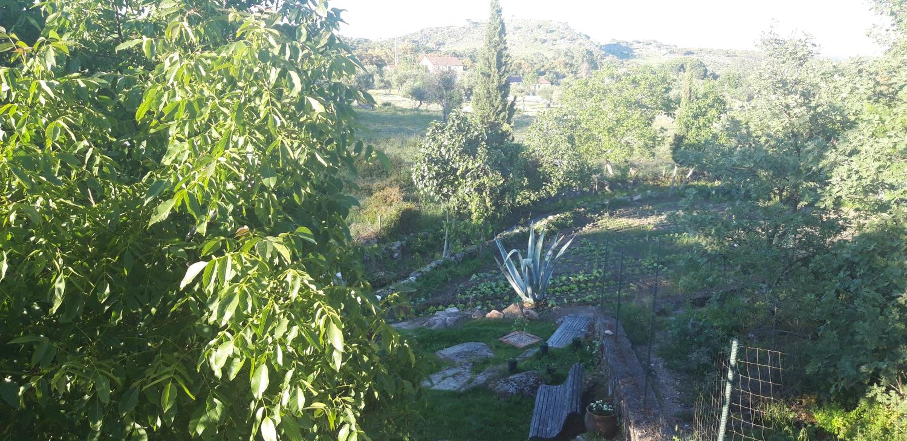 Photo 29