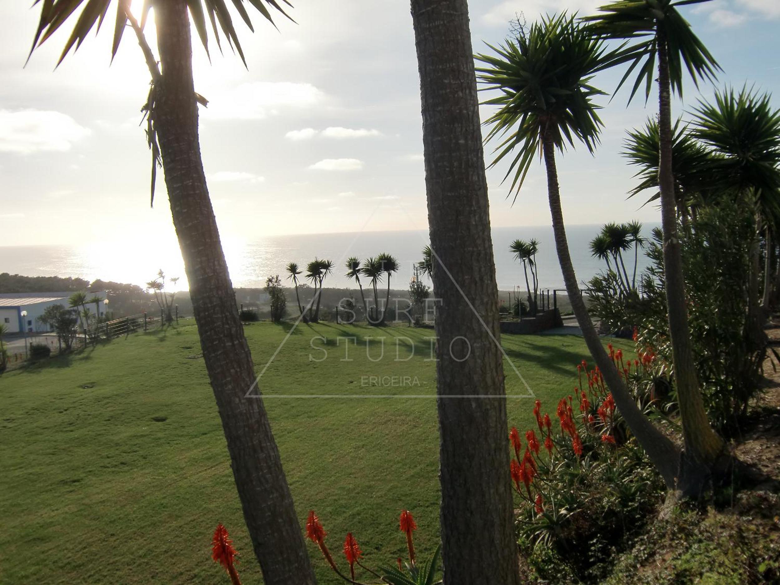 The Surf Studio - Ericeira view 5