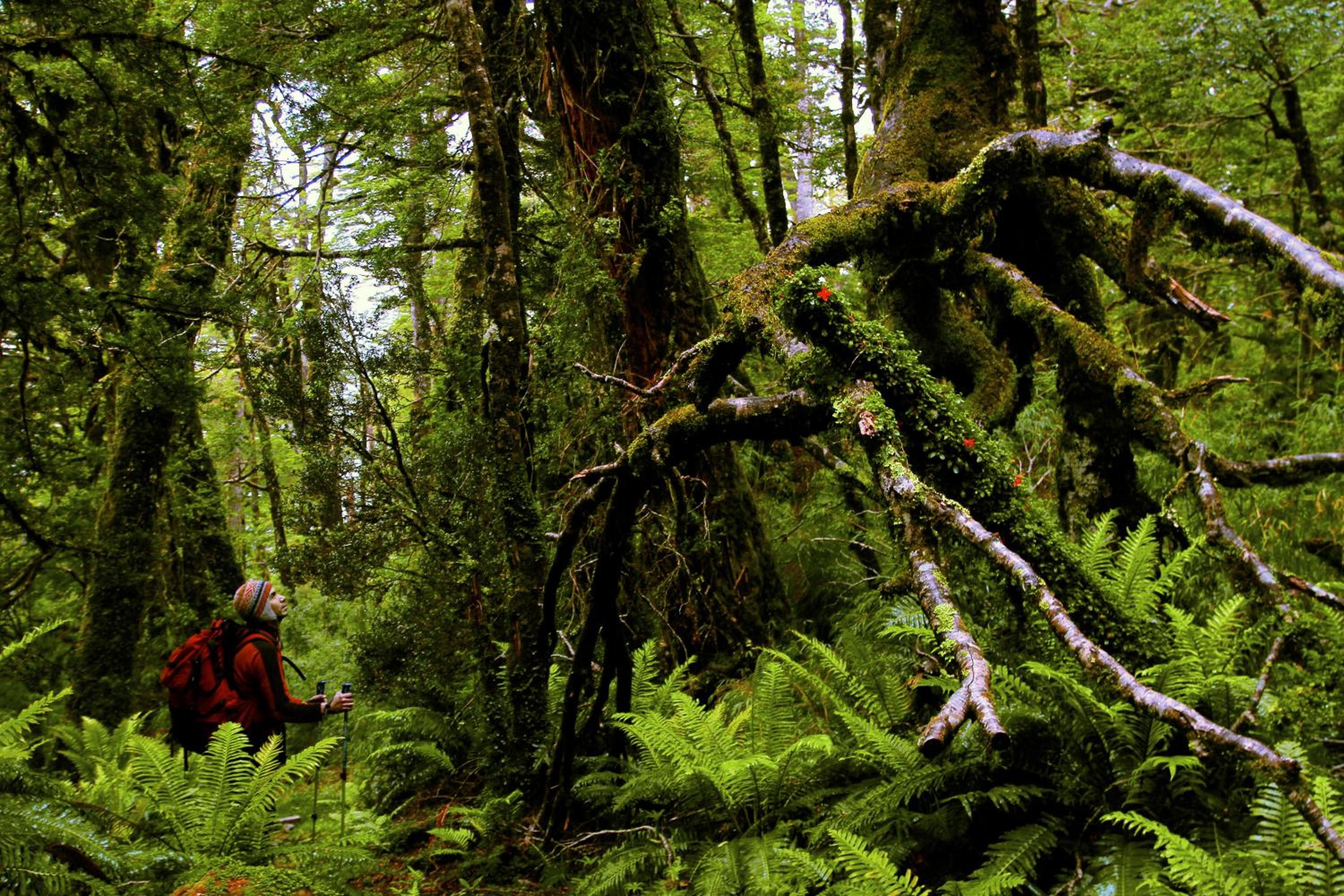 Puyuhuapi Lodge & Spa