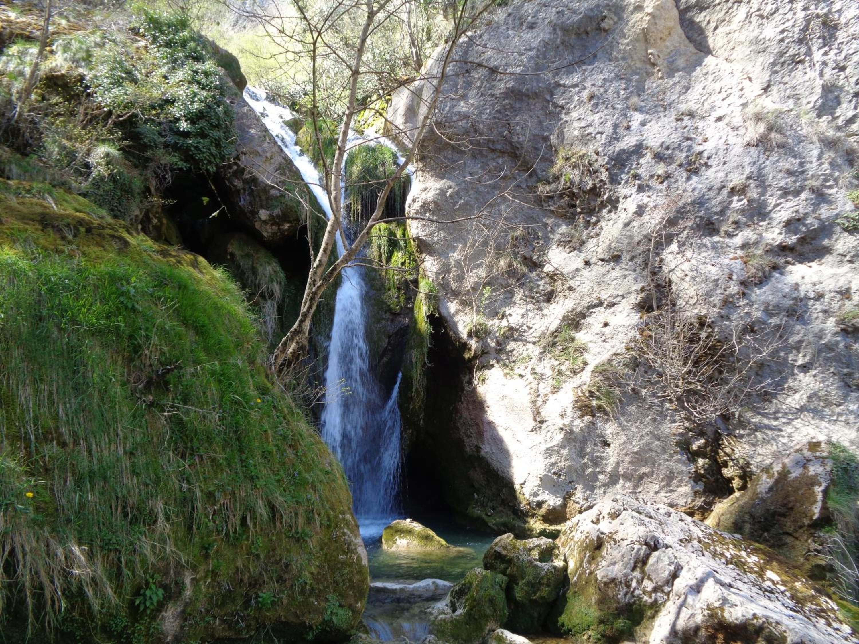 Photo 33
