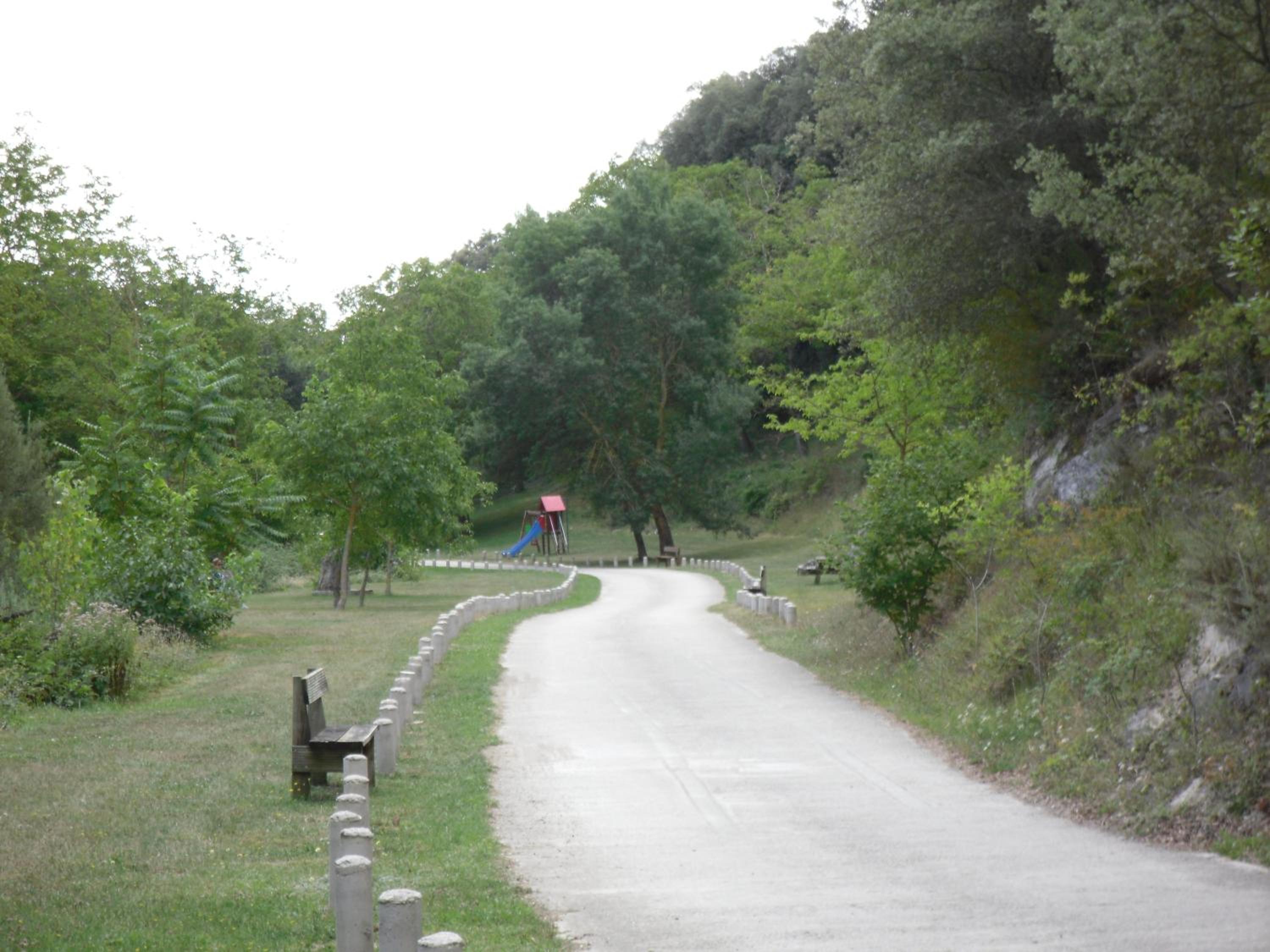 Photo 20