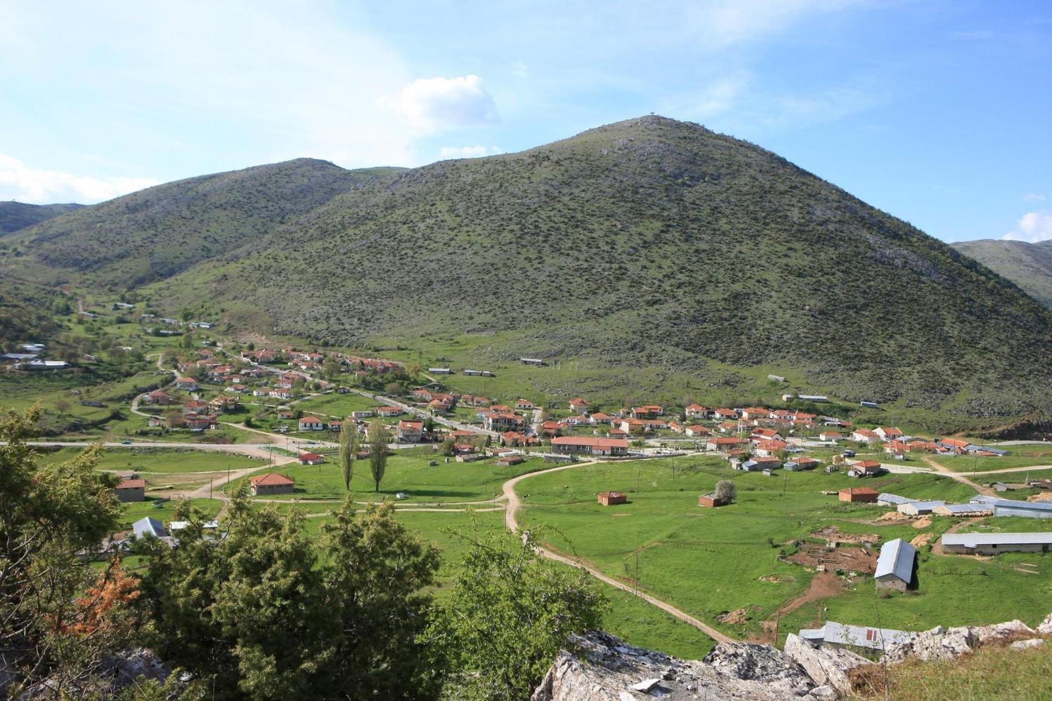 Photo 25