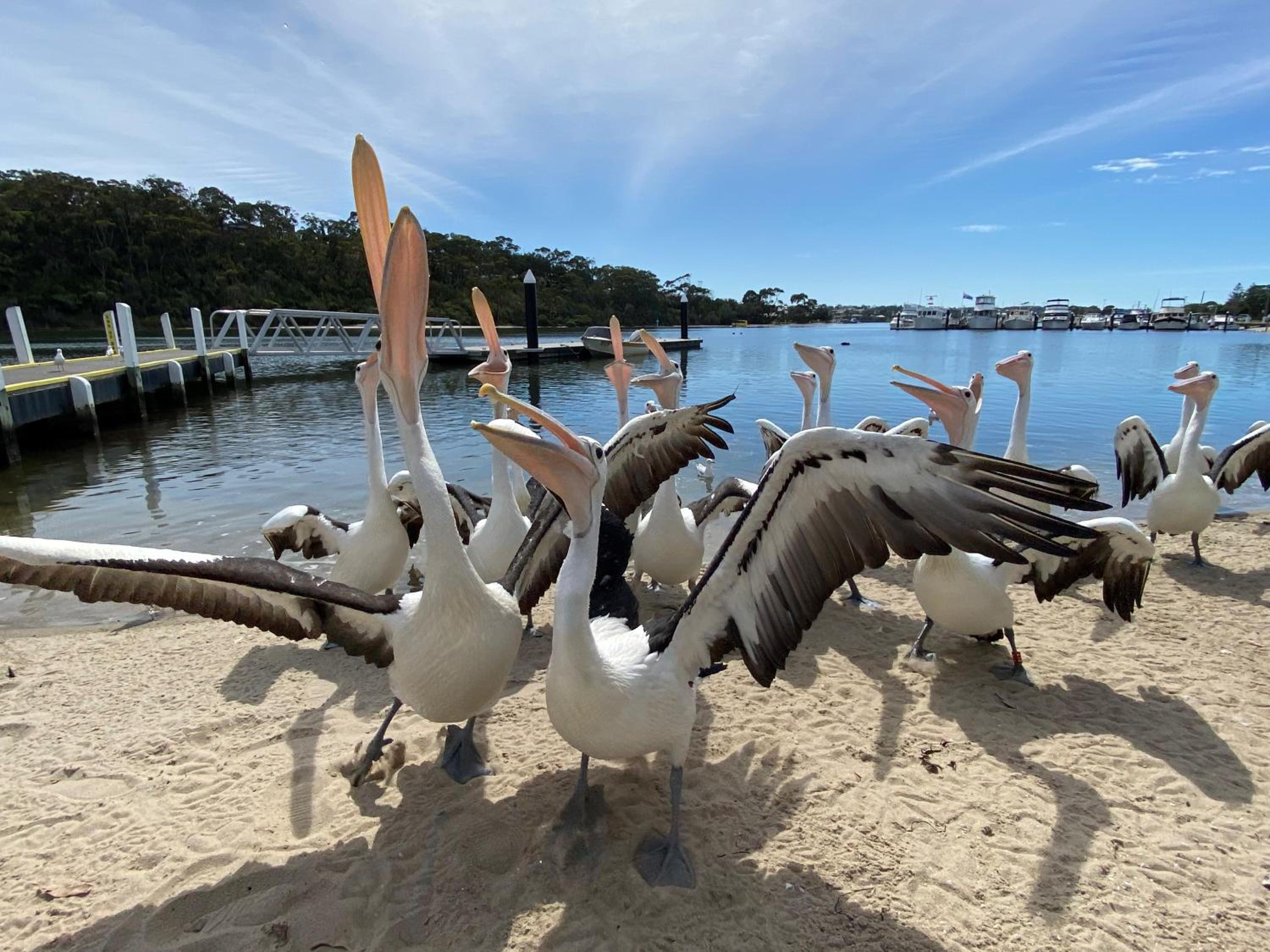 Coastal Waters Motor Inn - Property Image 37