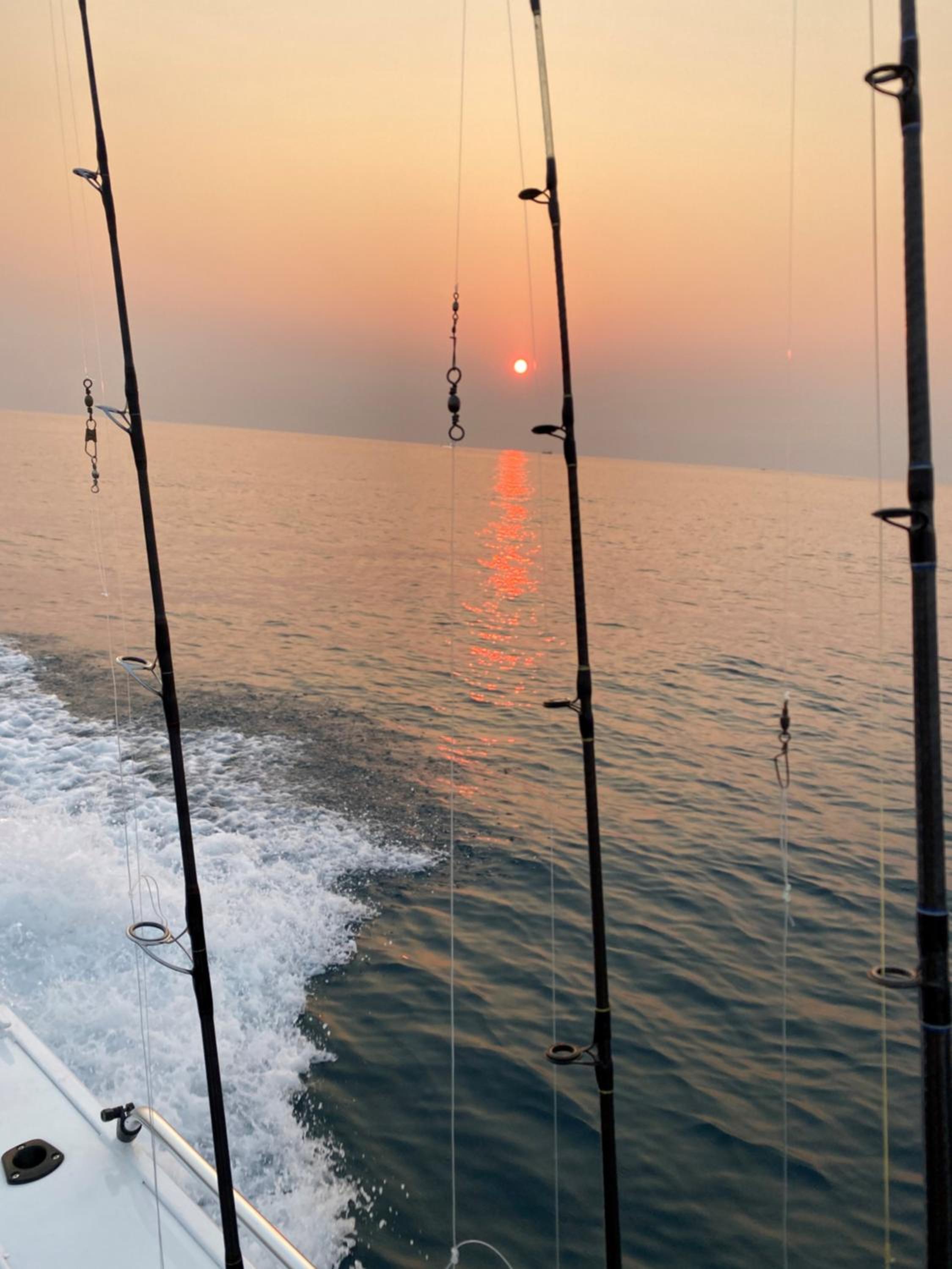 Coastal Waters Motor Inn - Property Image 46