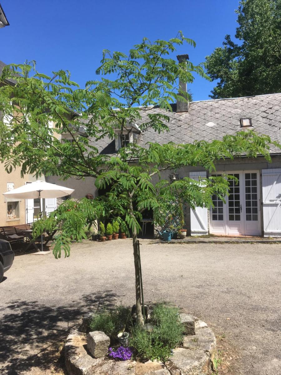 Maison Lyre, Pompadour view 2