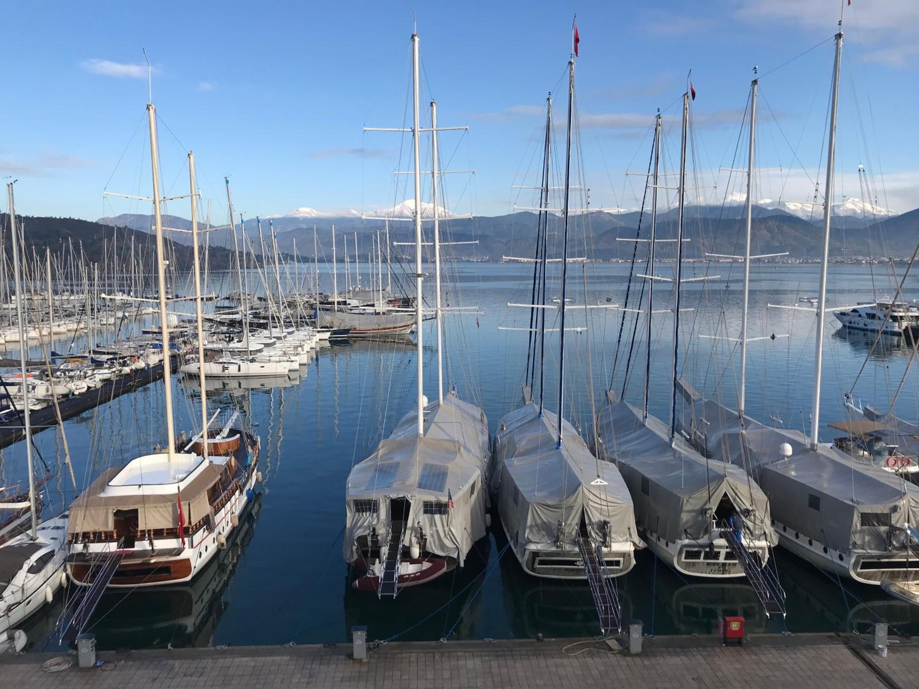 Ece Marina Suit - Image 147