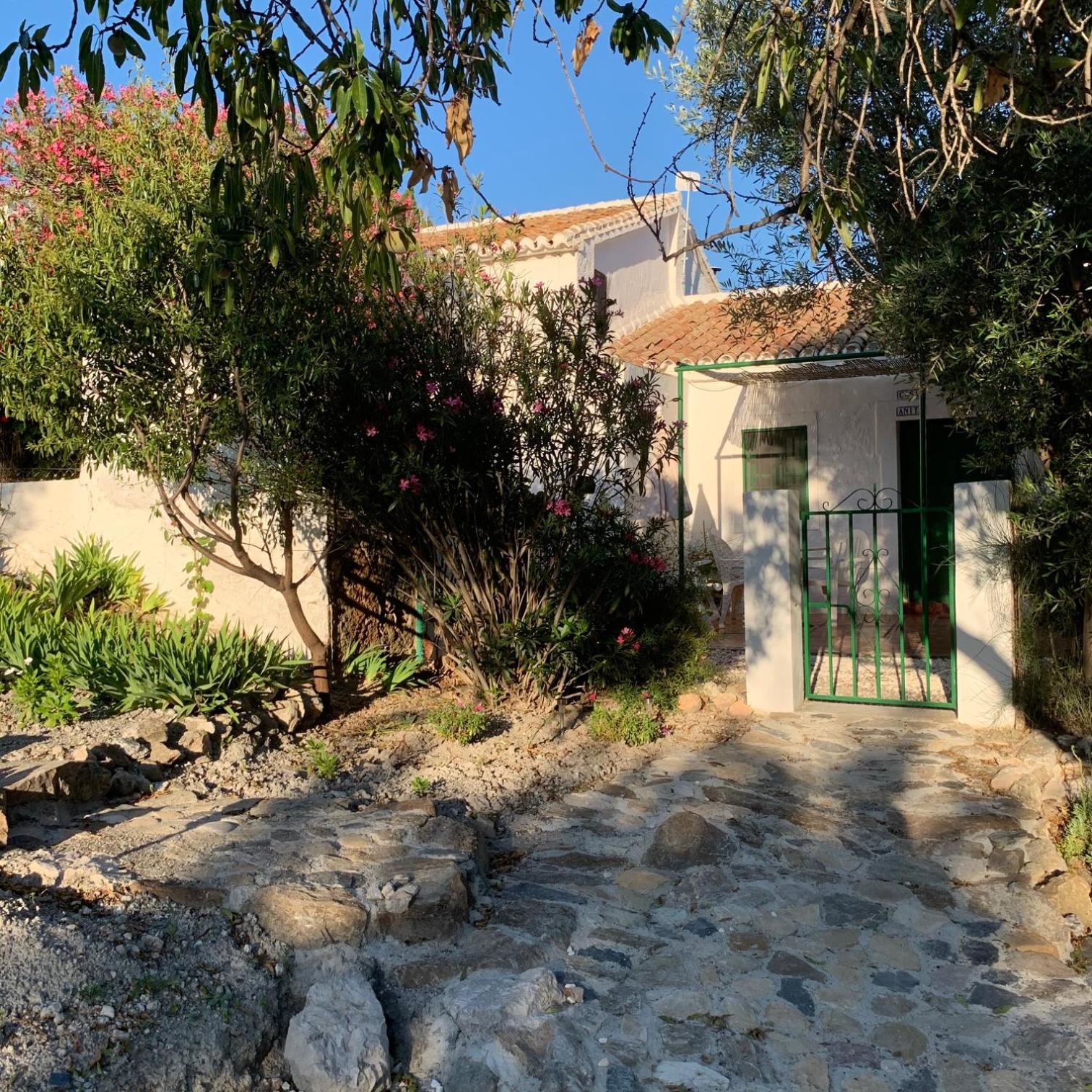 Photo 6
