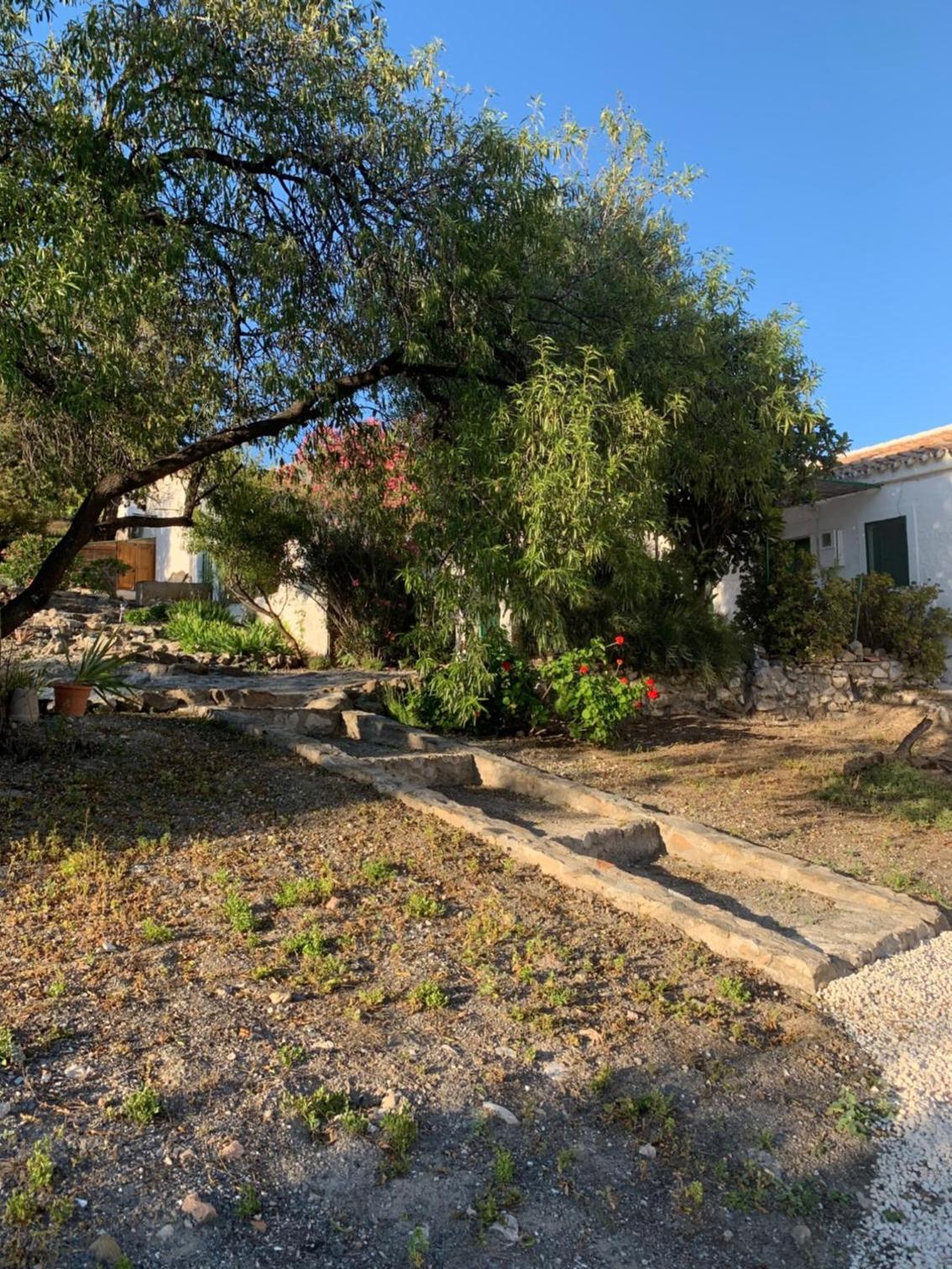 Casa Anita - La Almona Chica view 3
