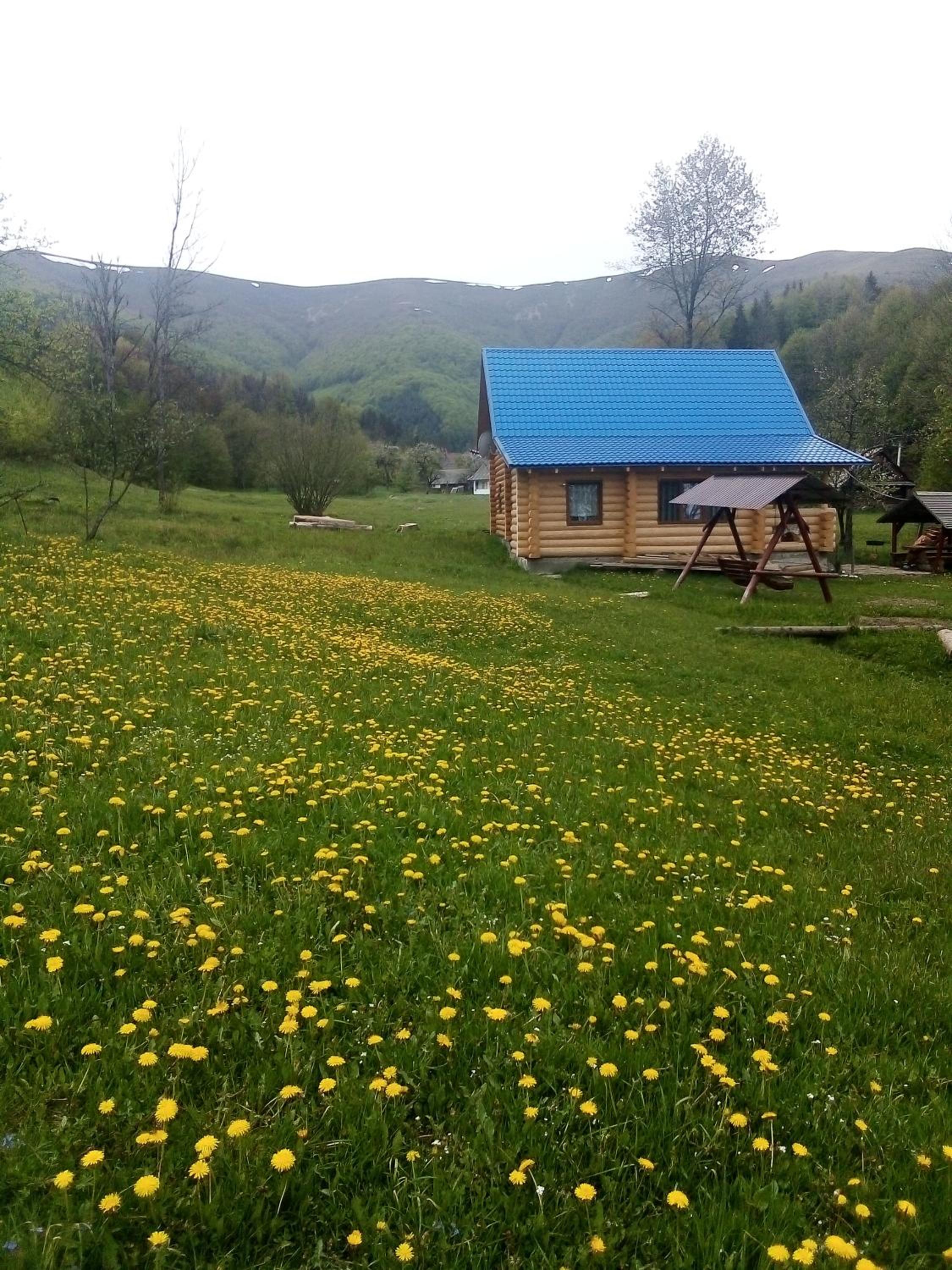 Cottage Лісовий view 4
