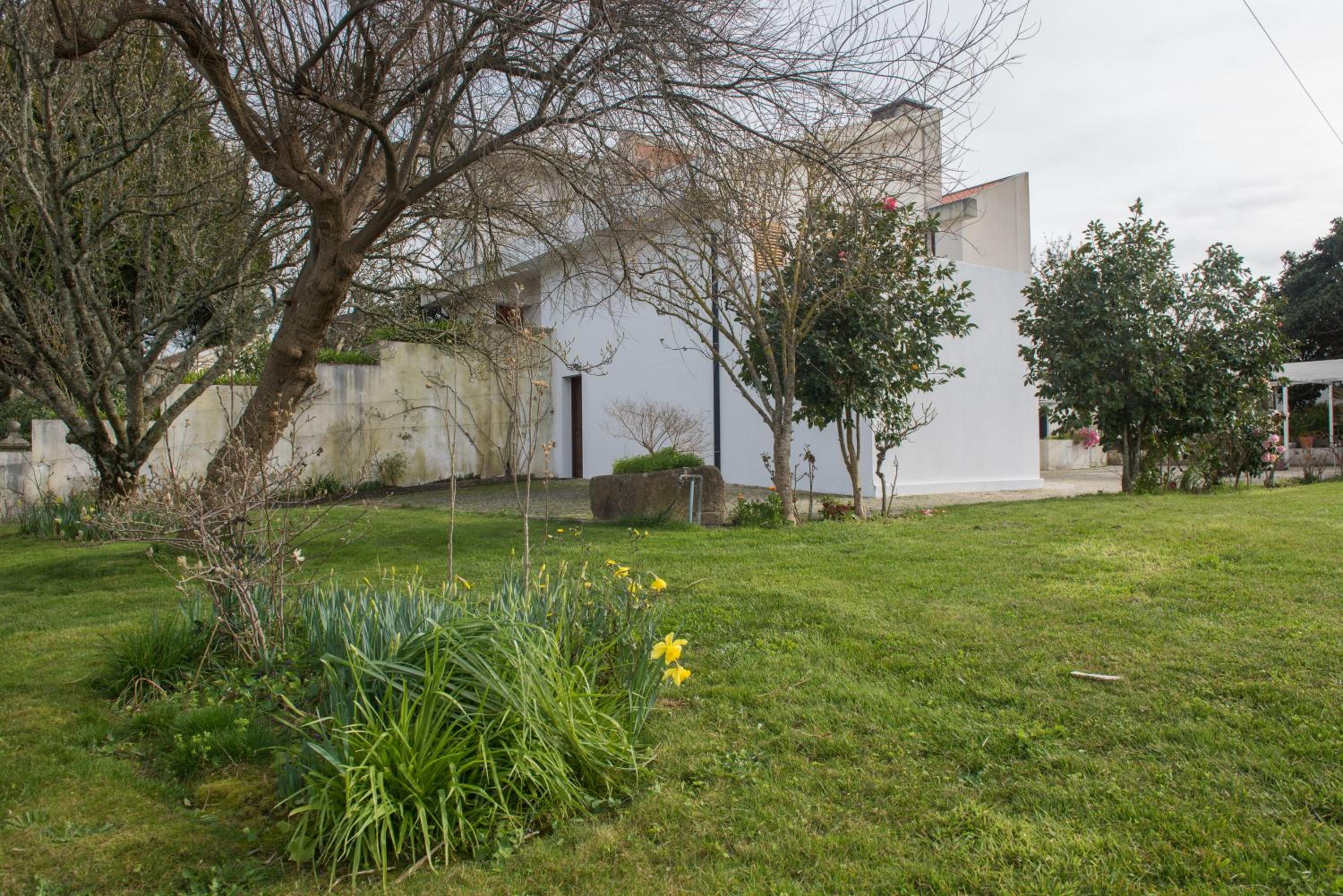 Casa dos Castanheiros view 4