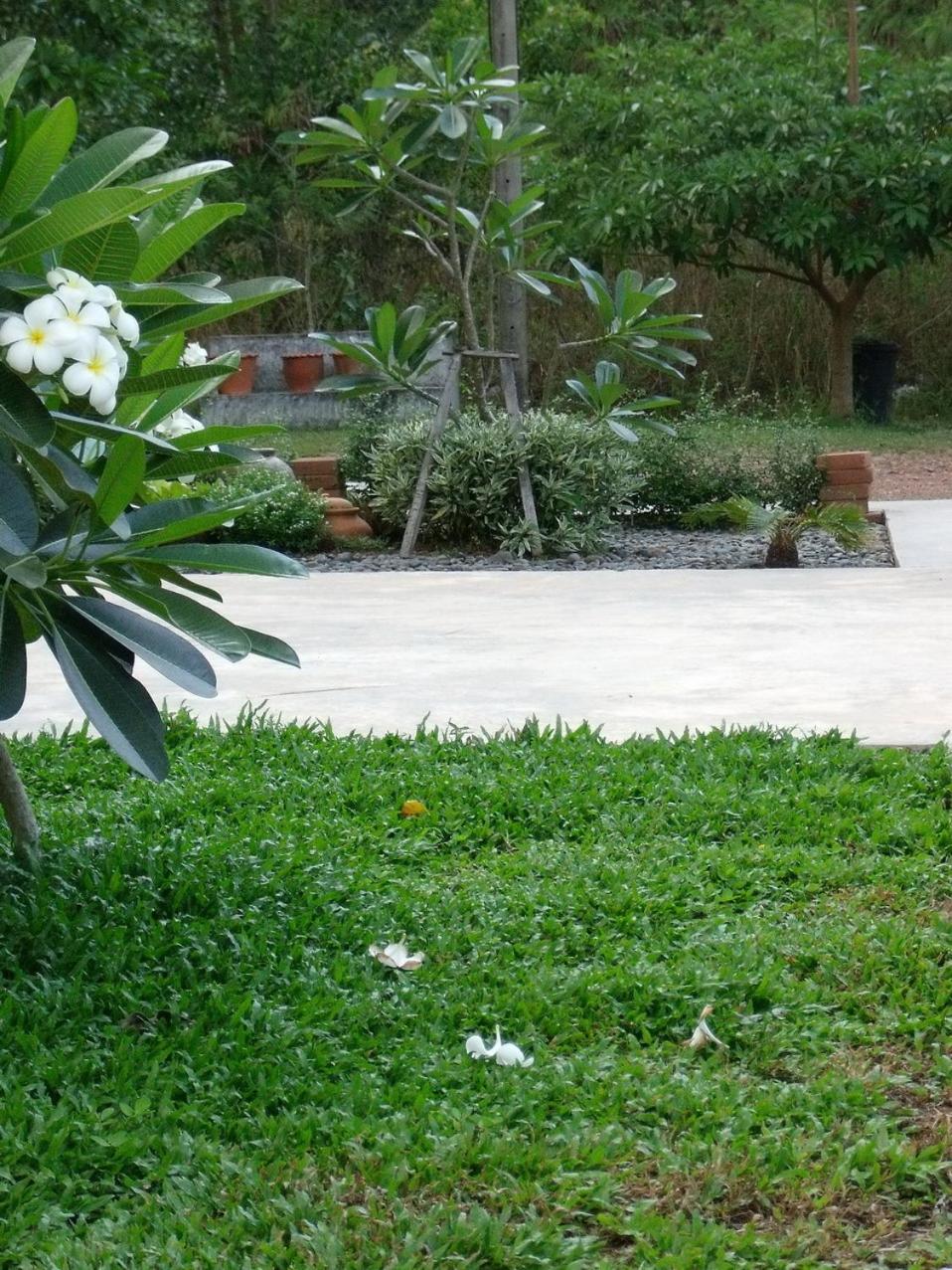 Albatross Guesthouse @ Thungwualaen Beach