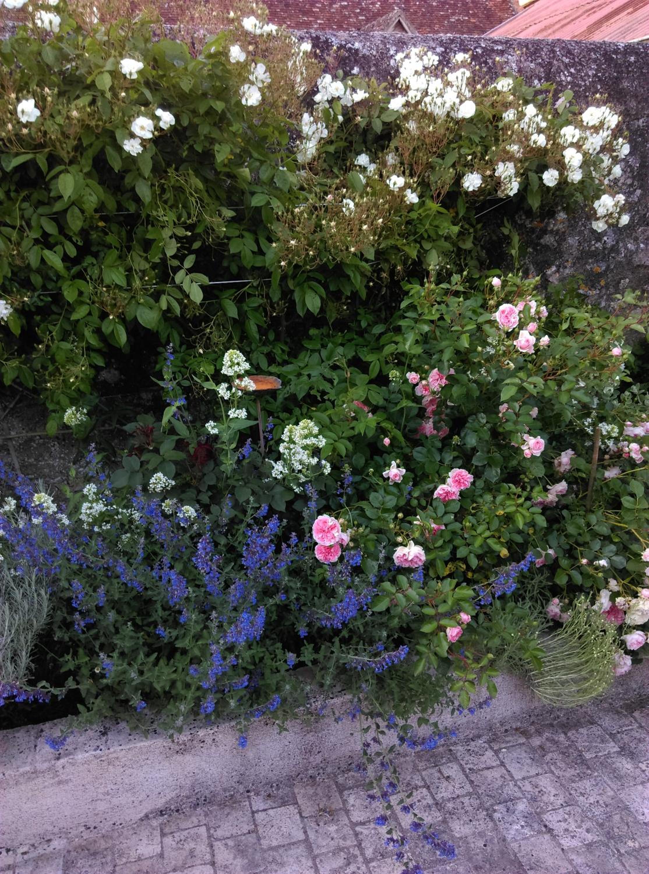 Photo 46