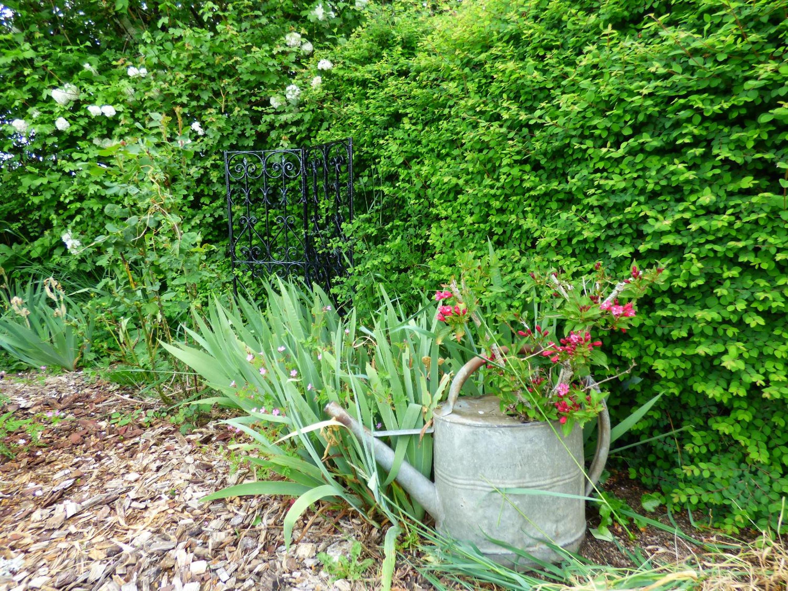 Photo 8
