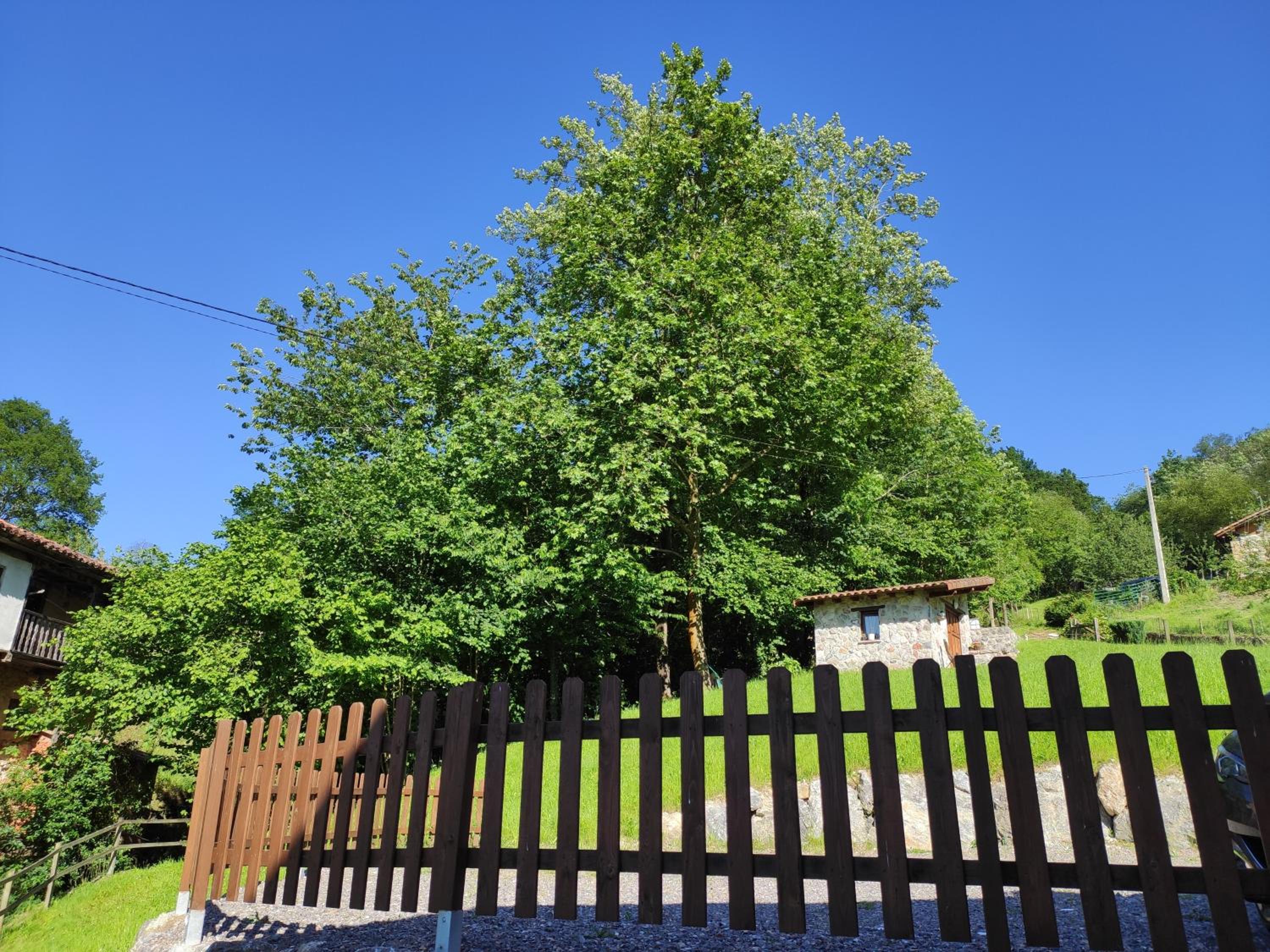 Apartamentos Rurales La Caviana