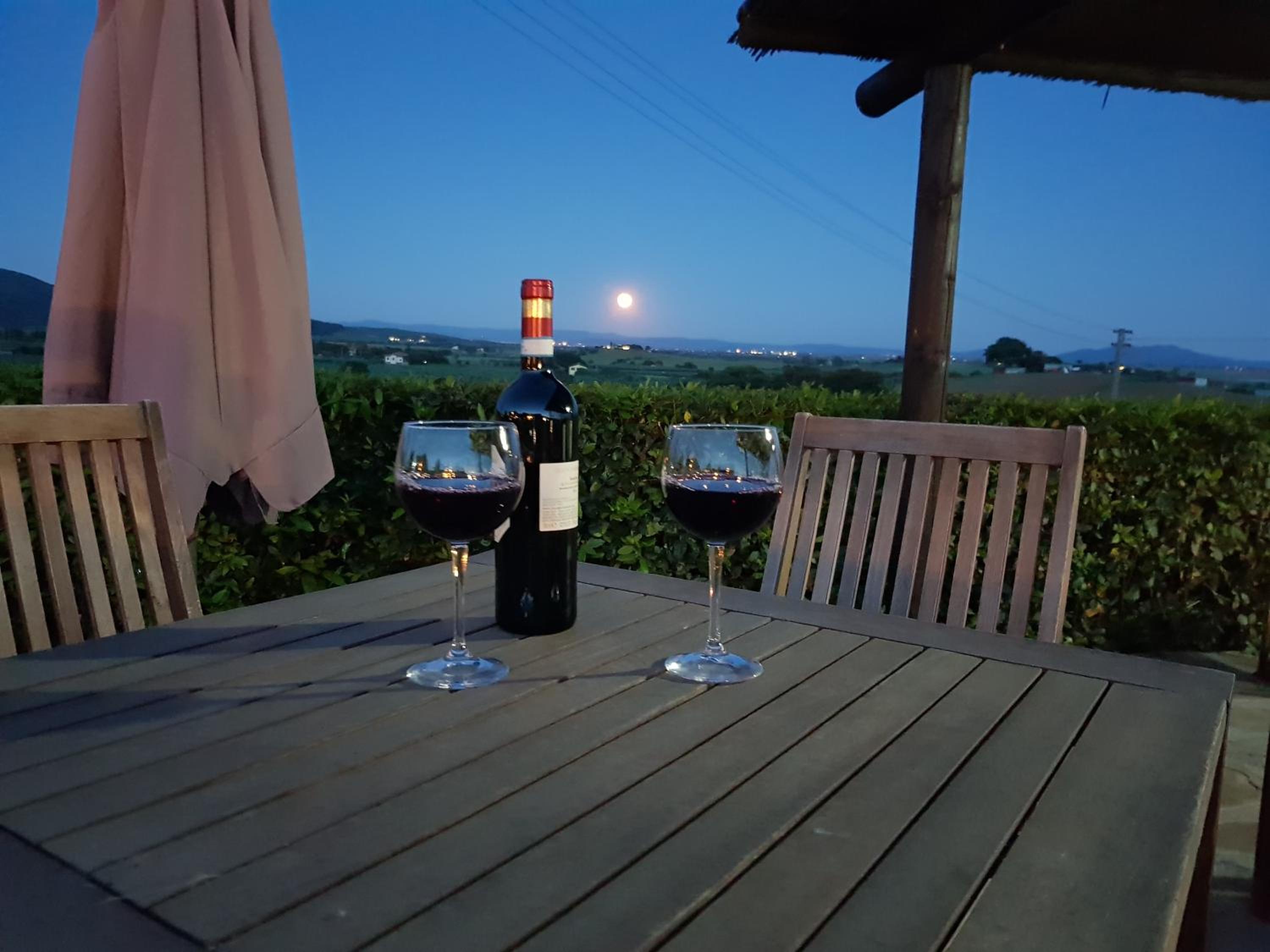 Agriturismo Diaccia Botrona