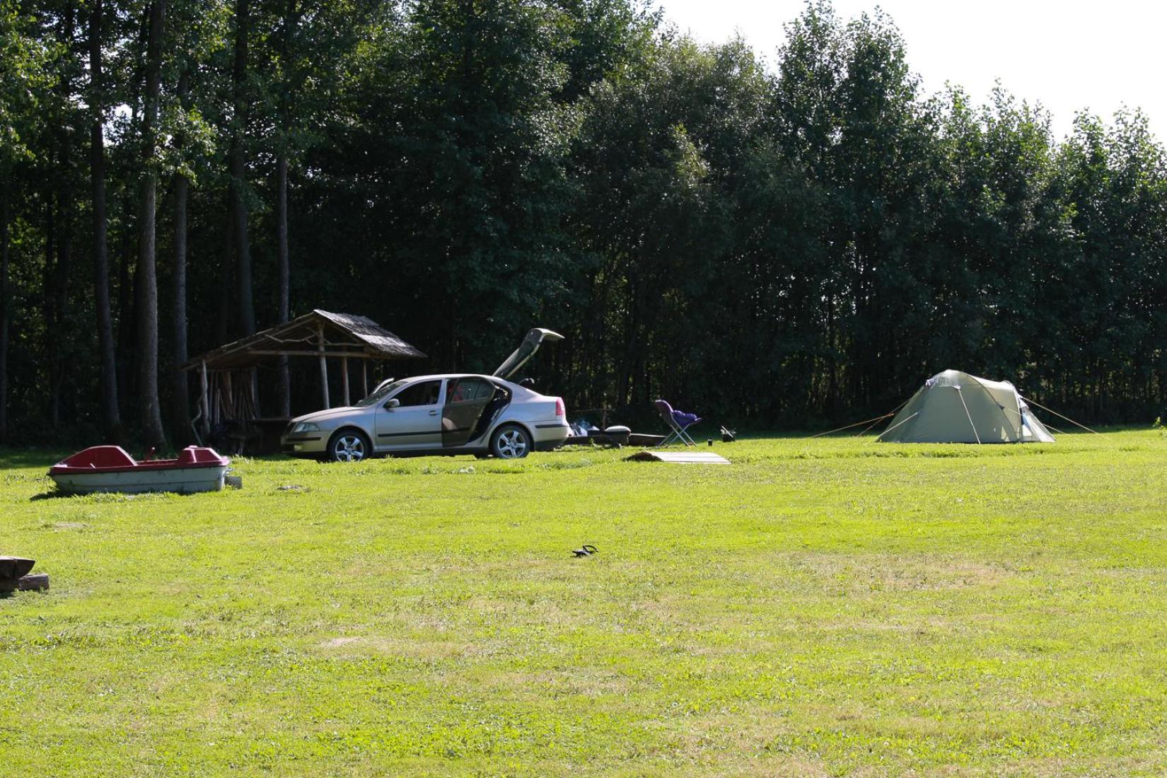 Photo 42