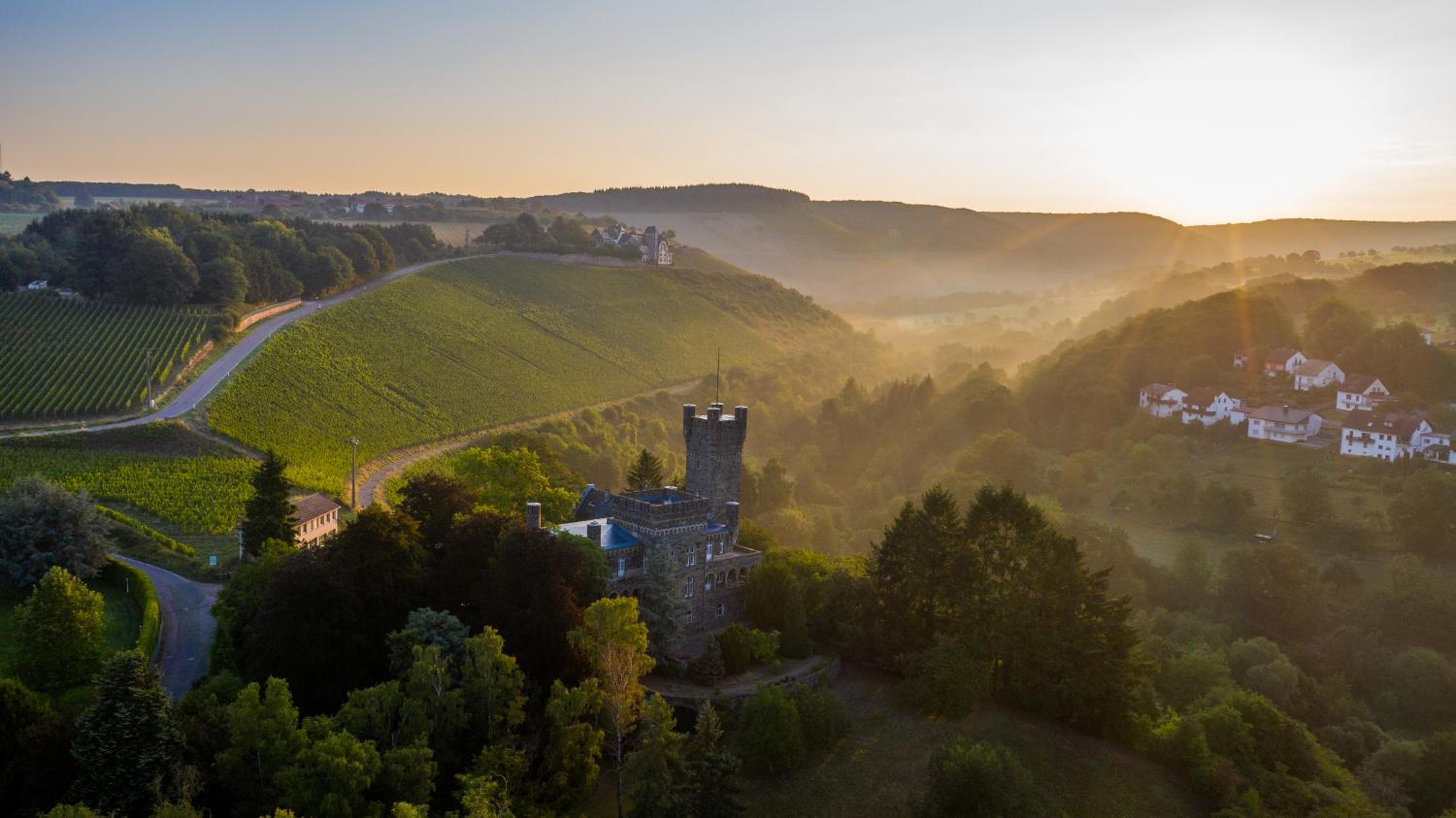 Saar Castle - cozy Mansion near vineyard view 3