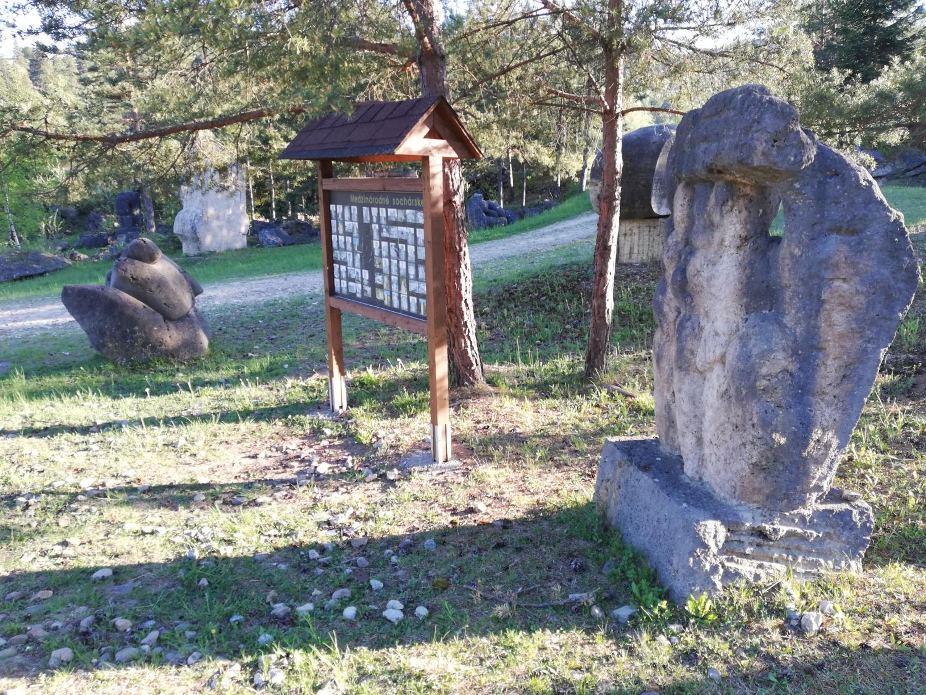 Photo 51