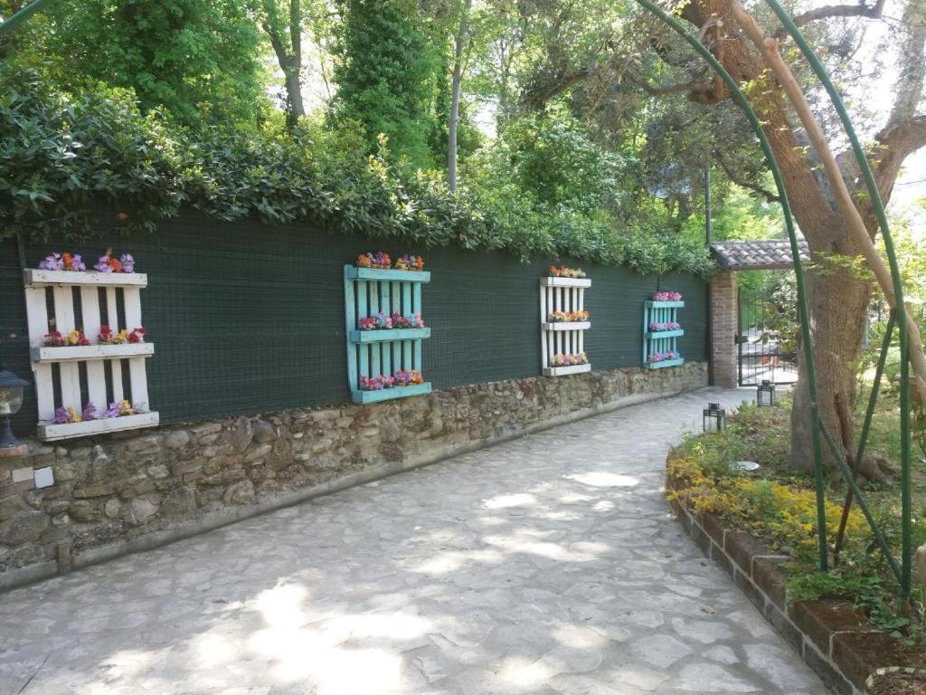 Photo 20