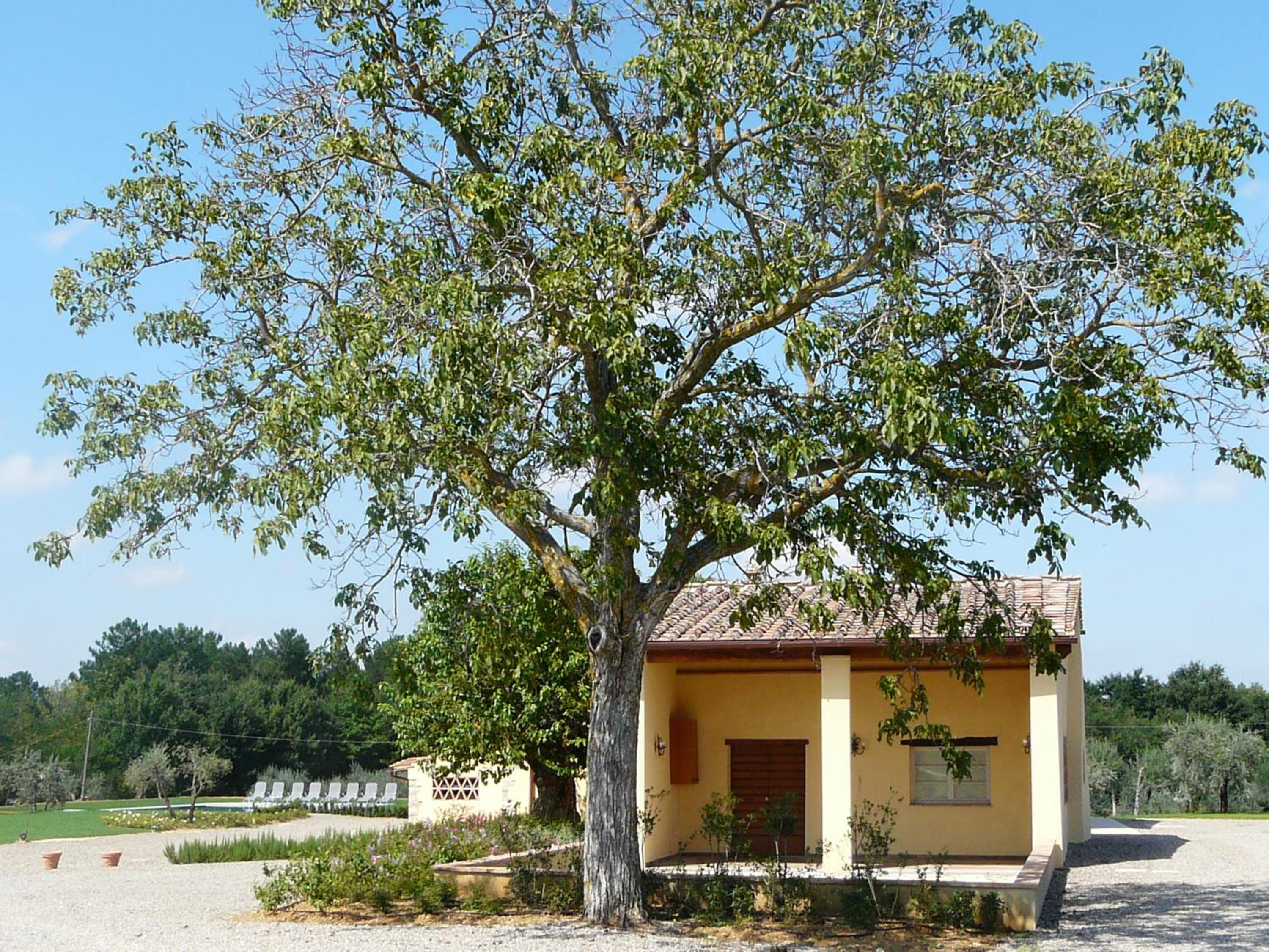 Villa Pian De Noci - Tenuta del Palagio