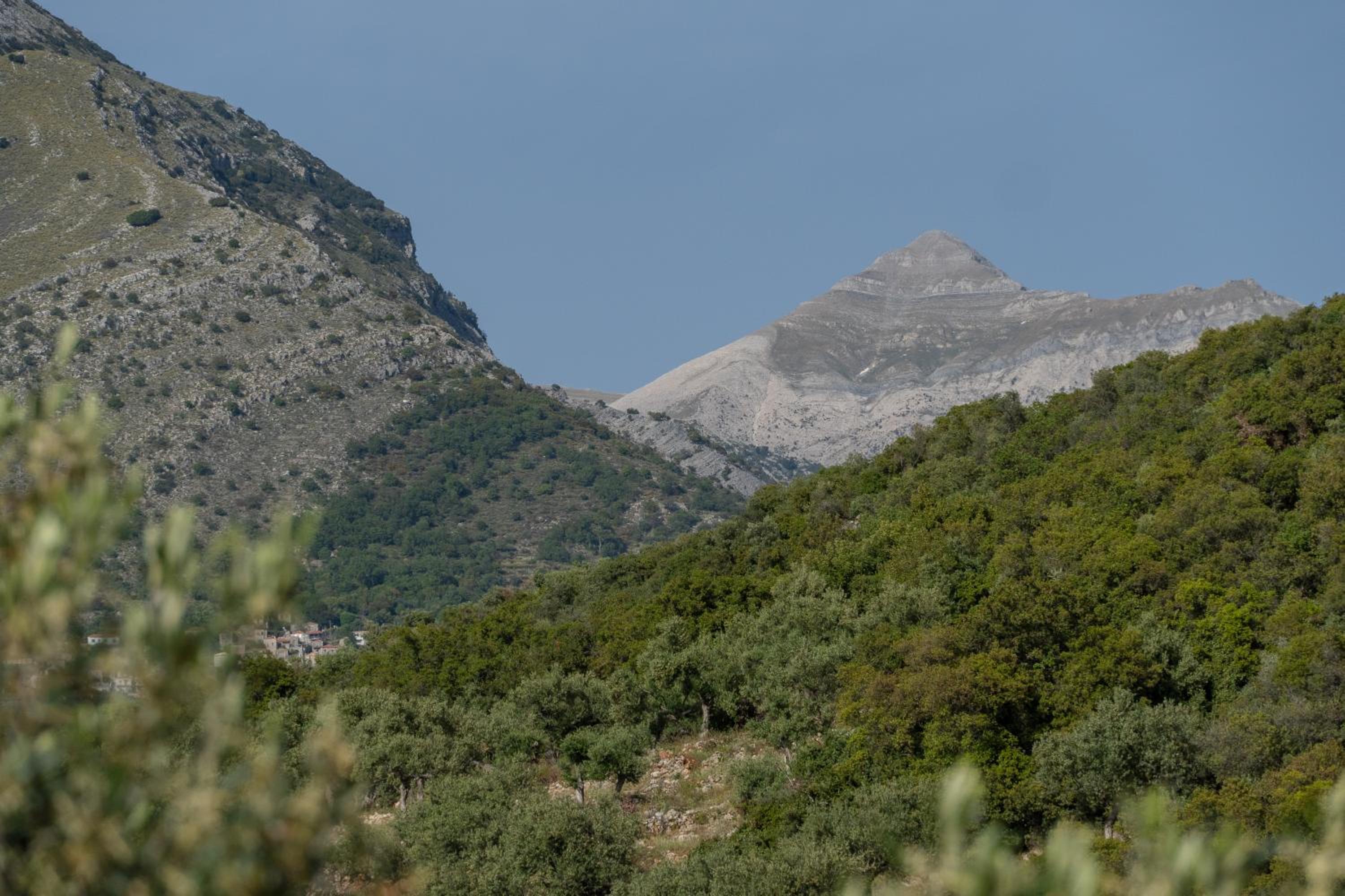 Trisilio view 3