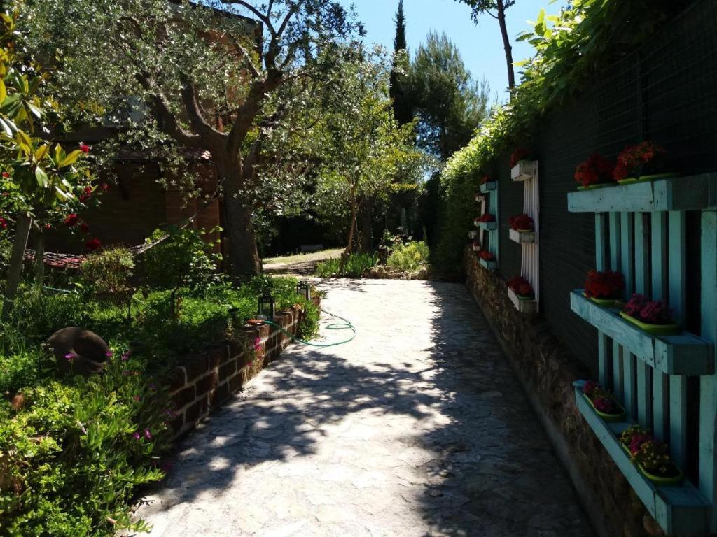 Photo 19