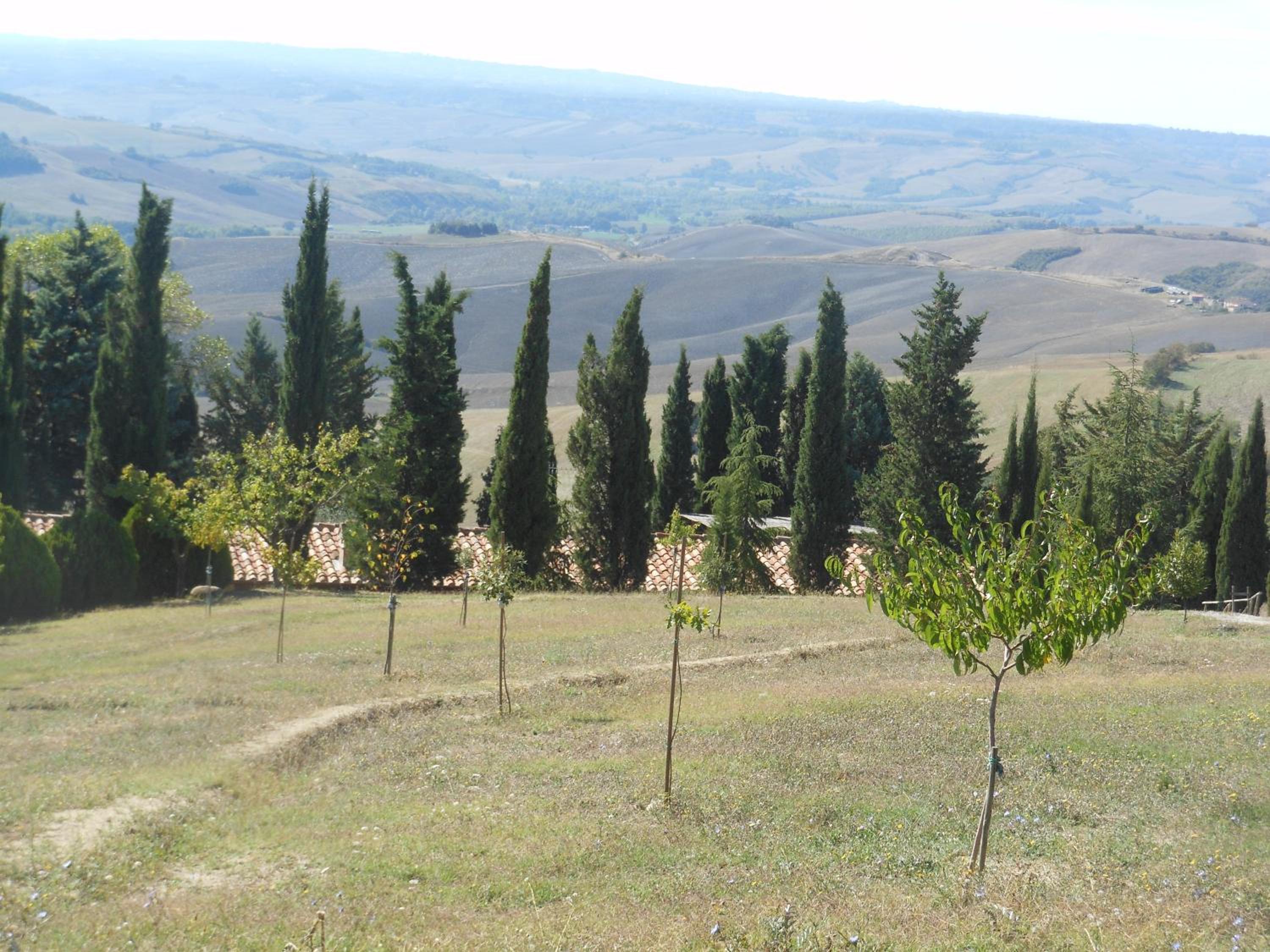 Agriturismo Collomici