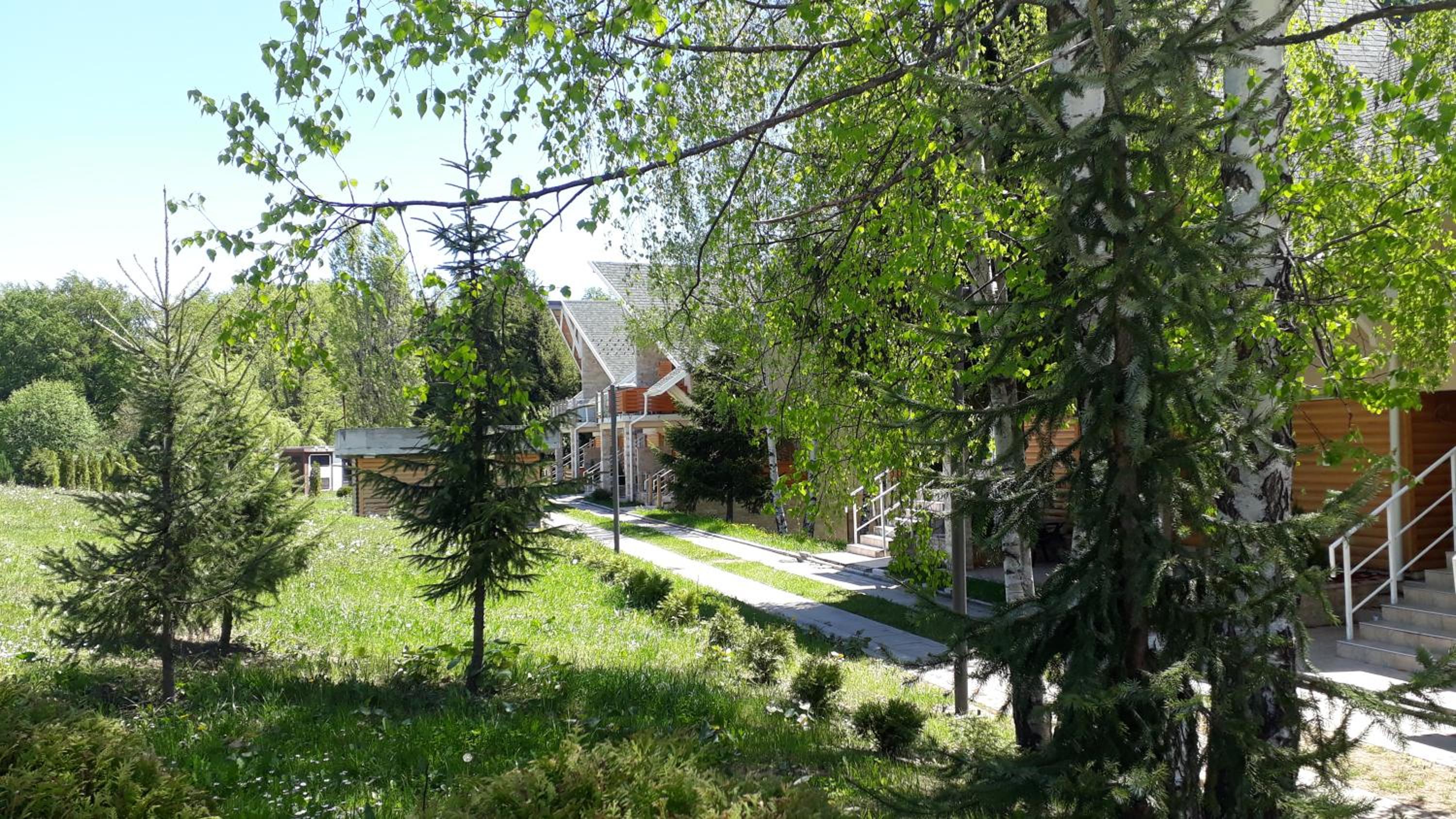 Photo 13