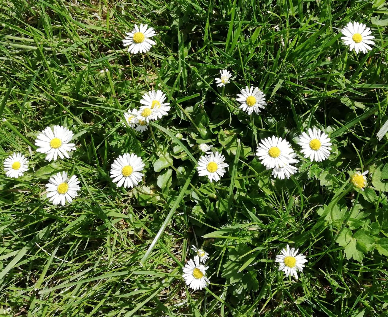Am Waldrand Spreewald