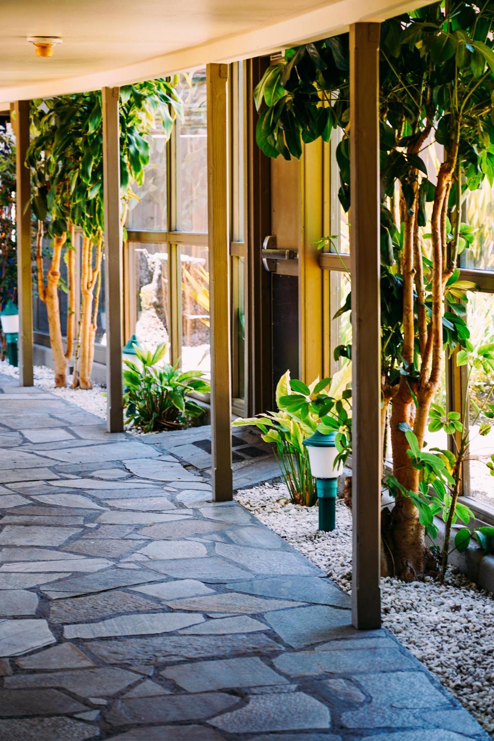 Flamingo Resort & Spa 8