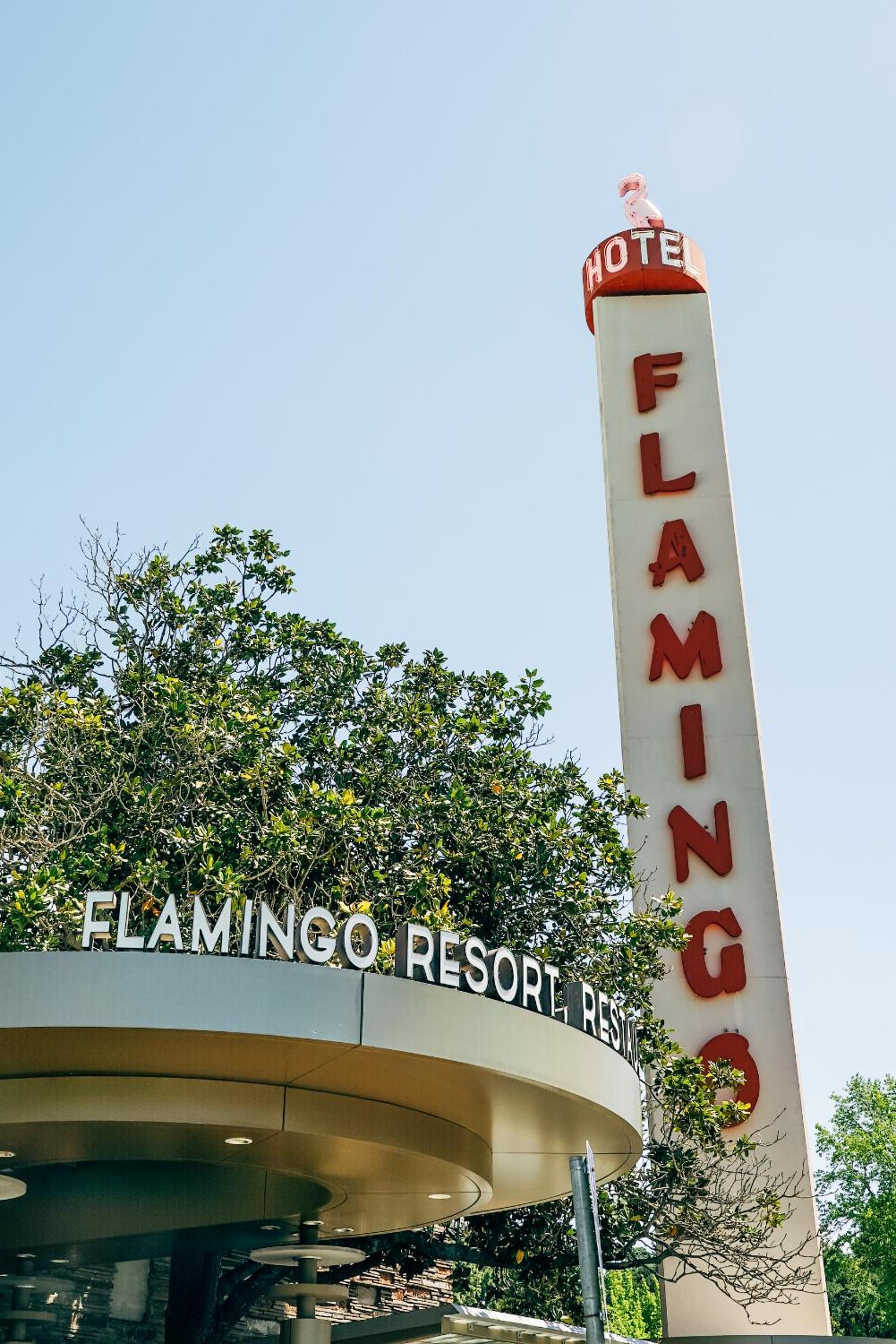 Flamingo Resort & Spa 7