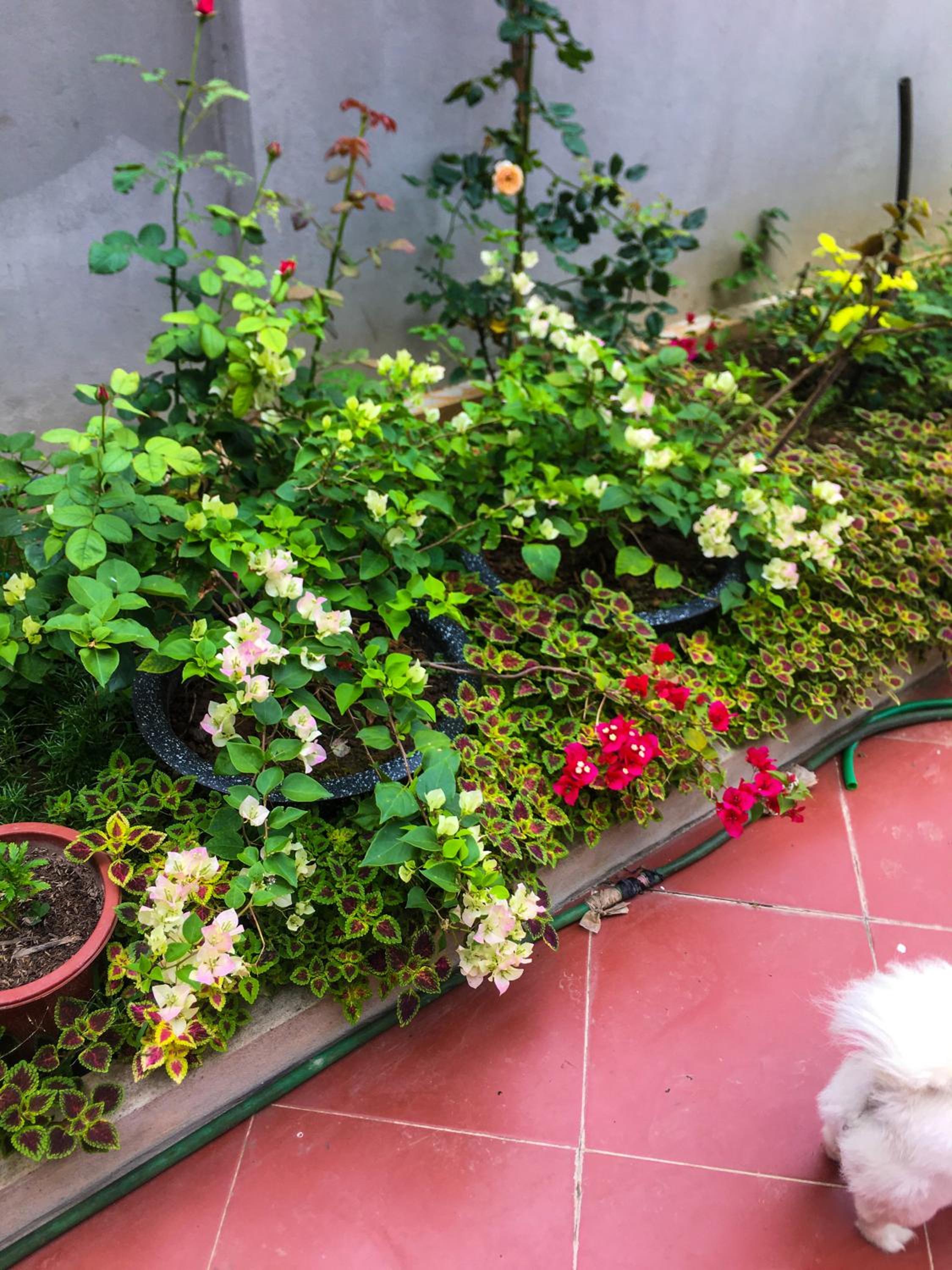 Photo 48