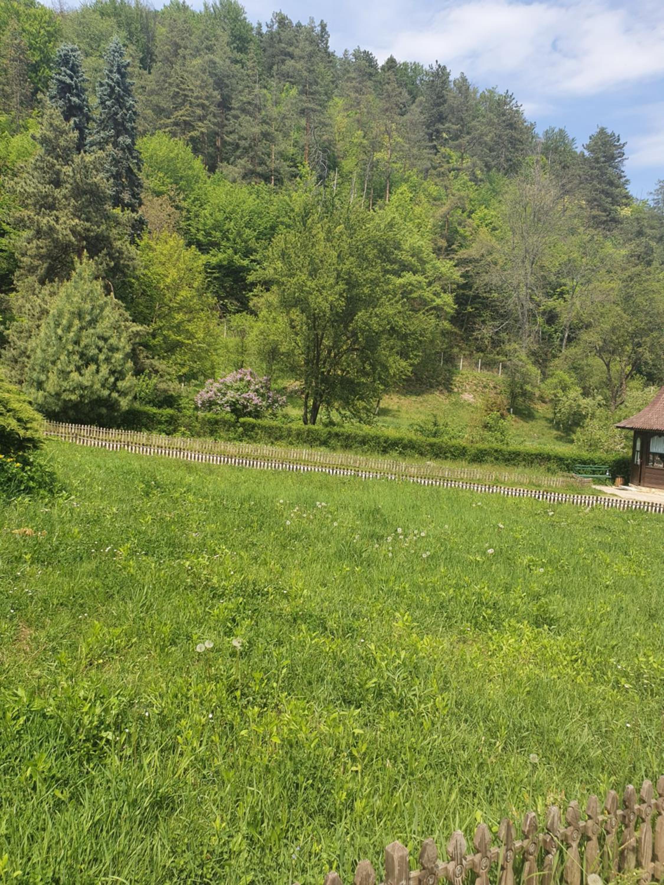 Pensiunea Roua Muntelui view 3