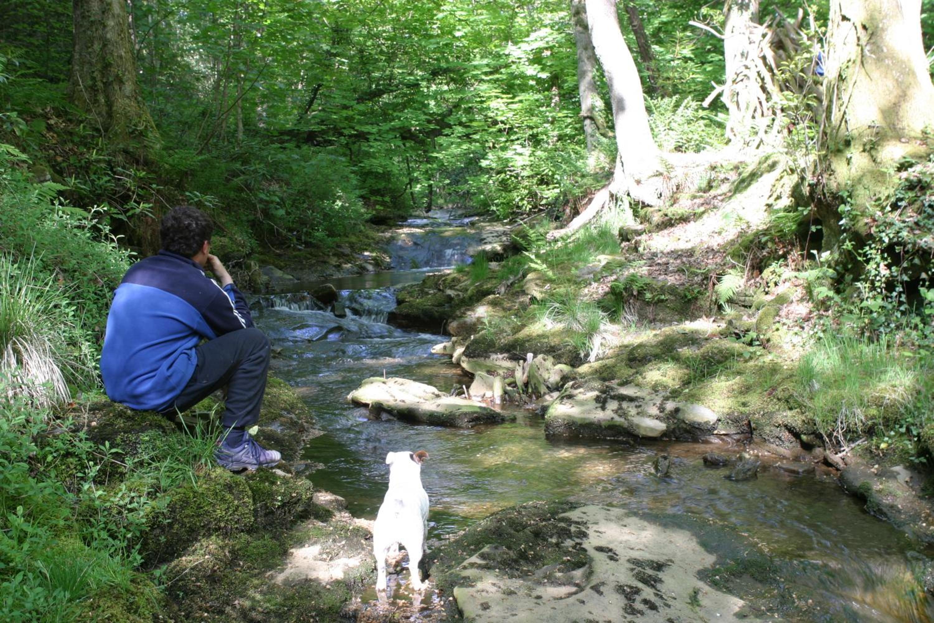 Swansea Valley Holiday Cottages