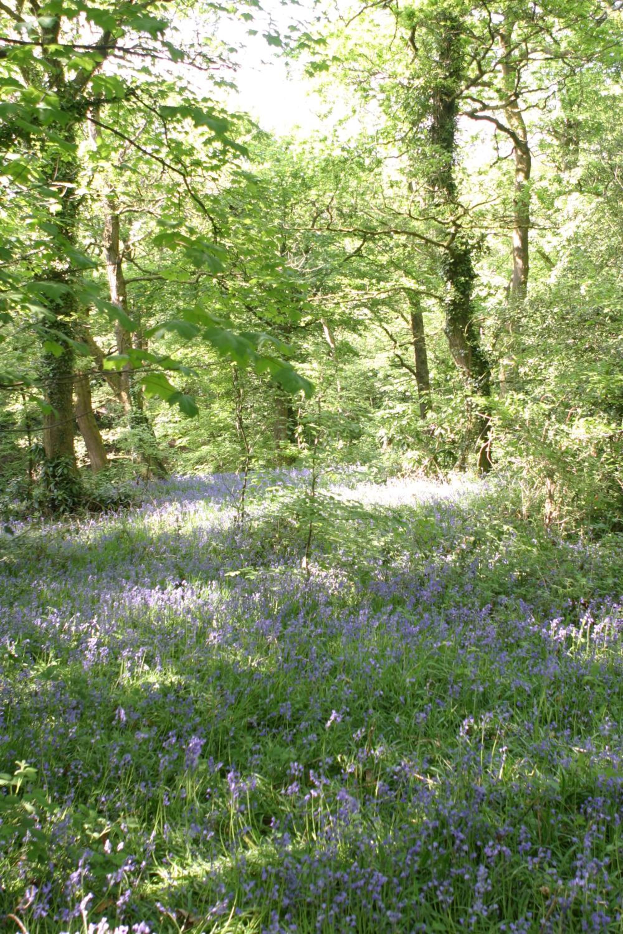 Swansea Valley Holiday Cottages
