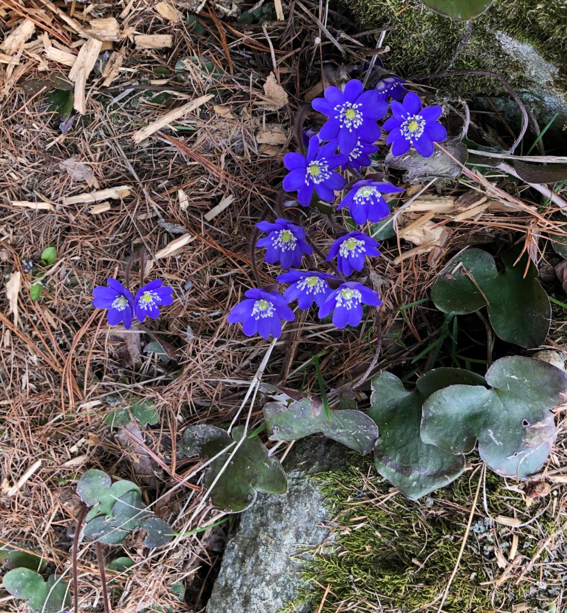 Photo 28