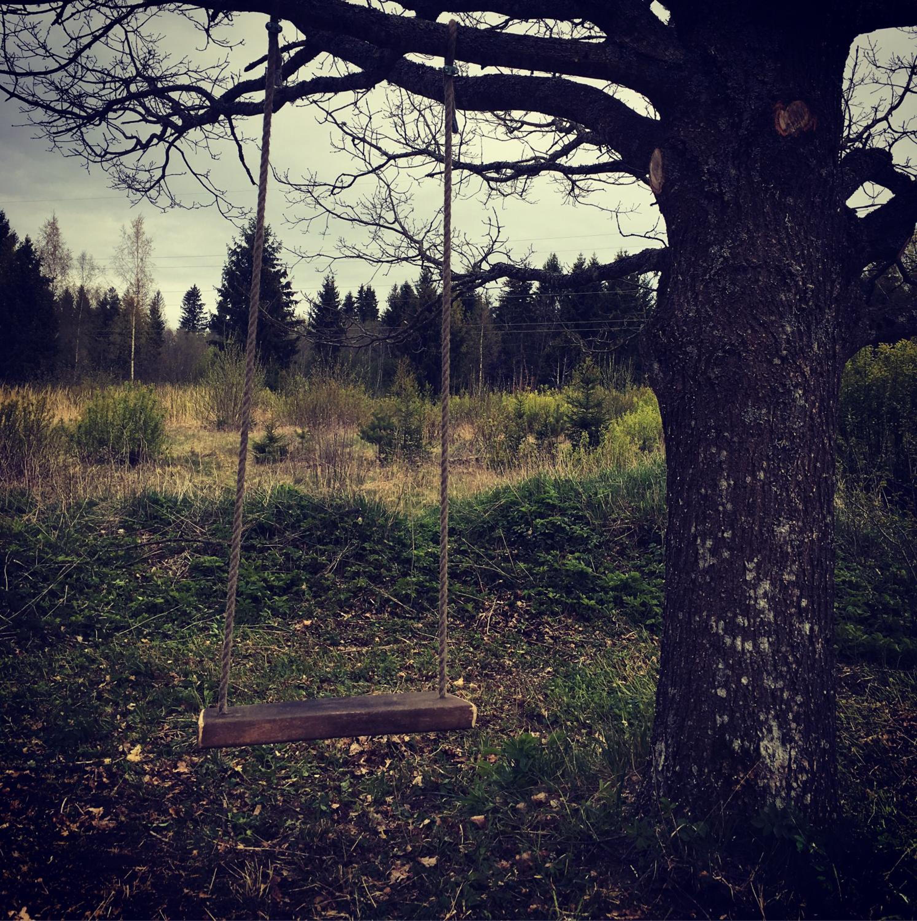 Photo 34